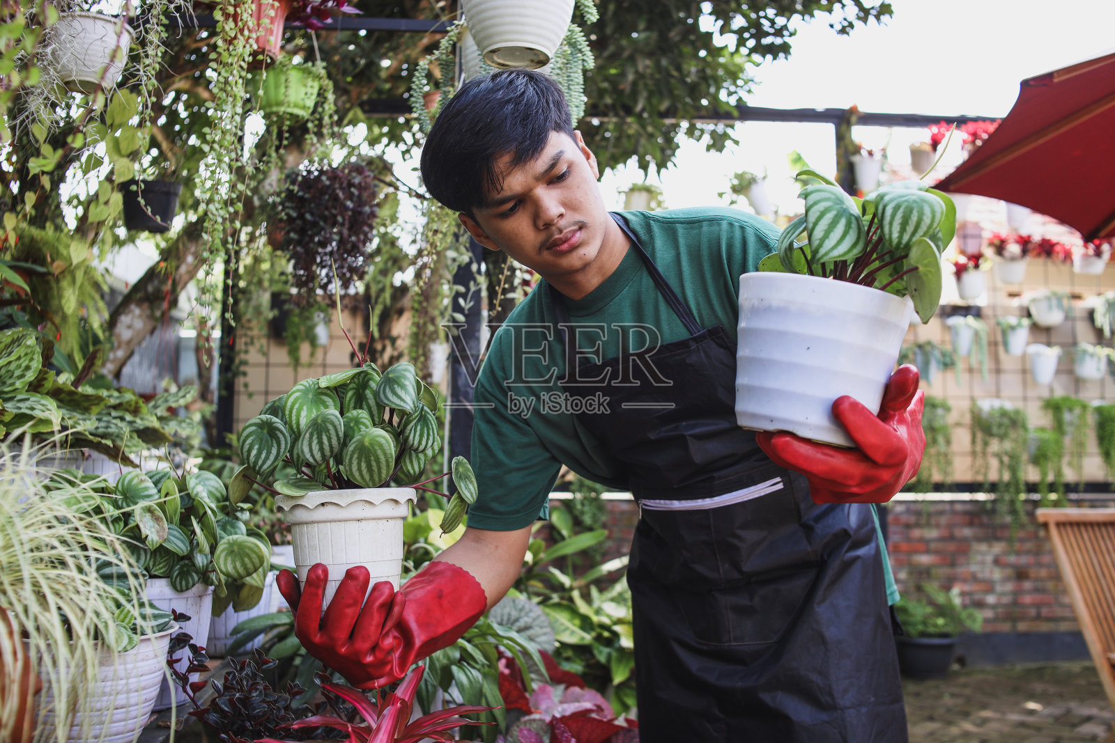 小型企业照片摄影图片