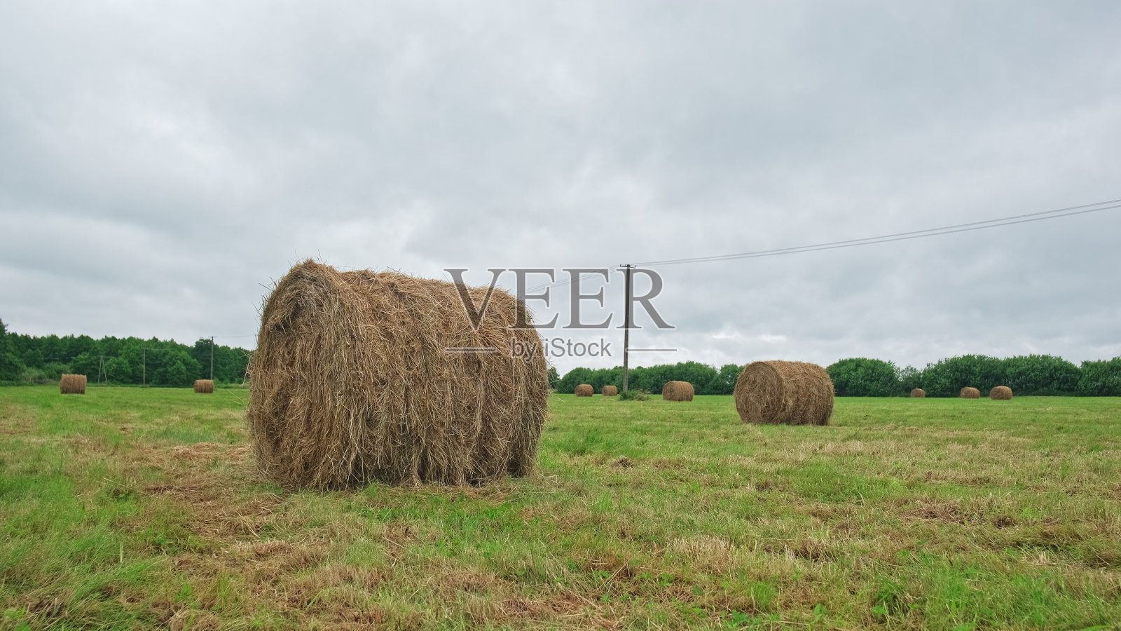 草地上的草堆照片摄影图片