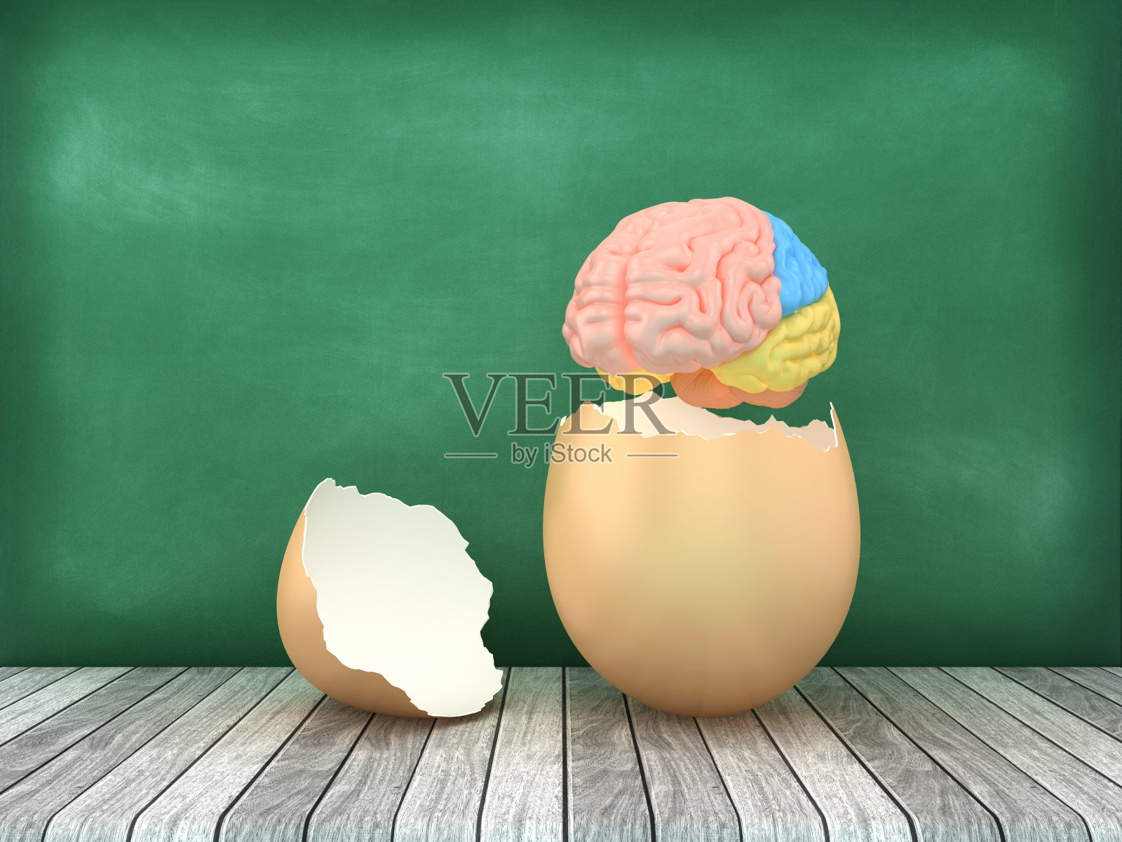 3D脑蛋照片摄影图片