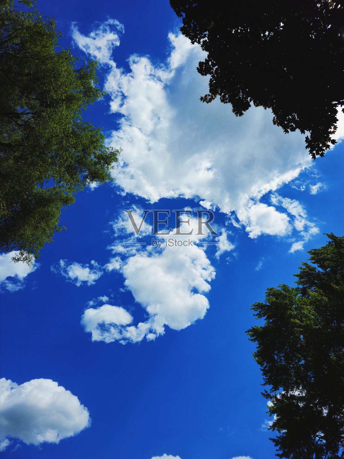 做白日梦…照片摄影图片