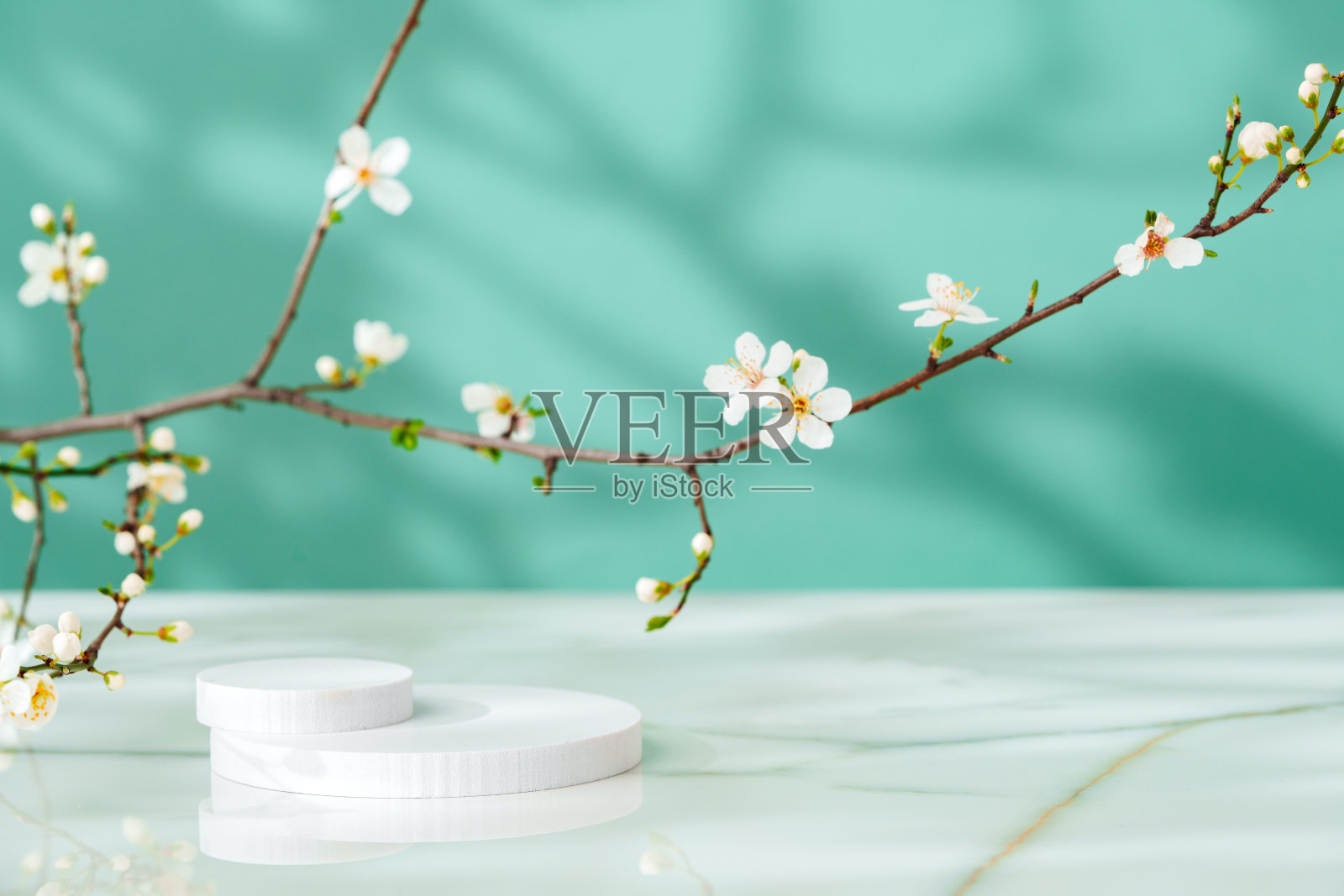 装饰性的讲台和盛开的树枝在绿色的背景与阴影照片摄影图片