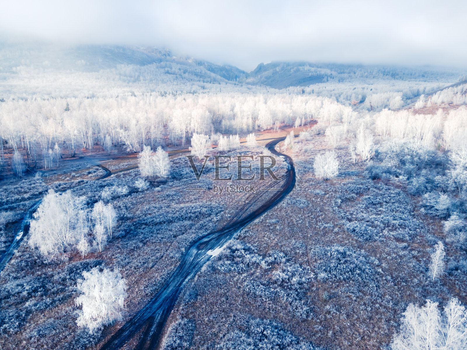 雾蒙蒙的日出，冬日森林里白霜覆盖的树木。乌云笼罩着群山和森林。照片摄影图片