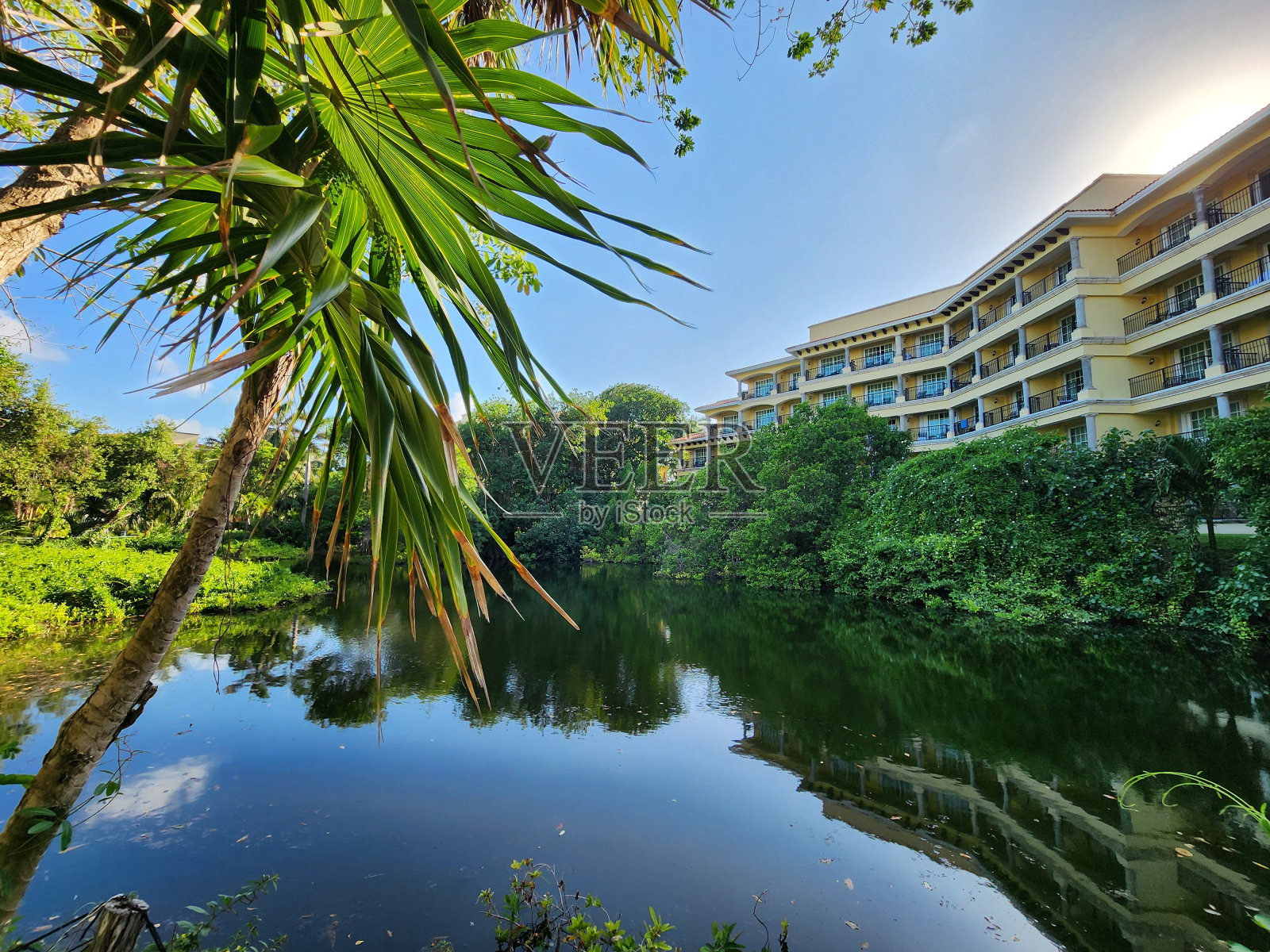 湿地上的日落照片摄影图片