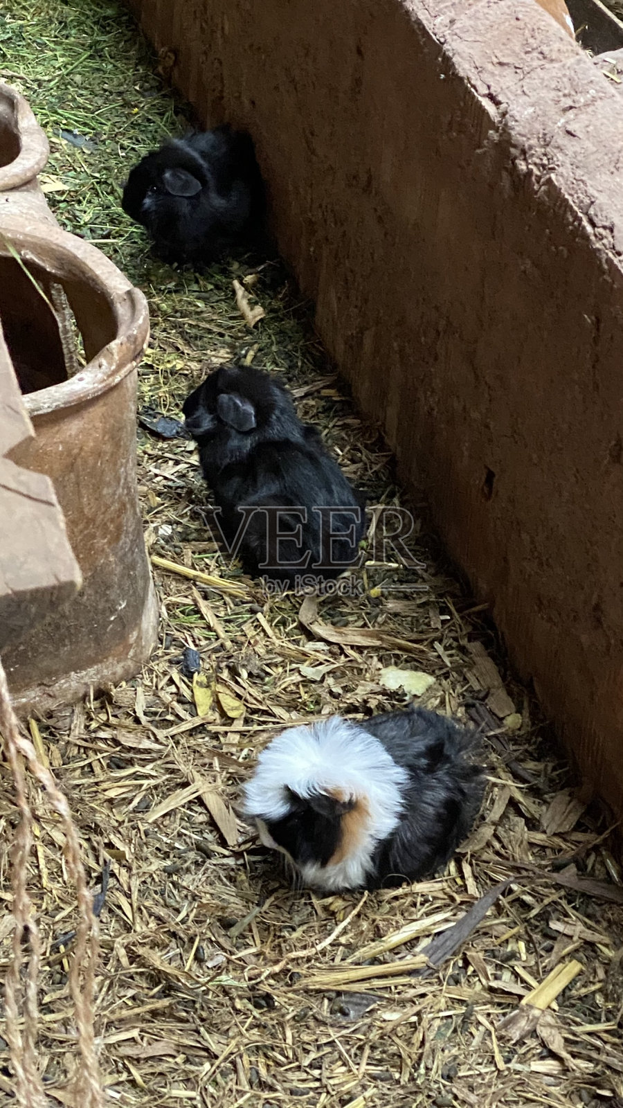 吃饭的人照片摄影图片