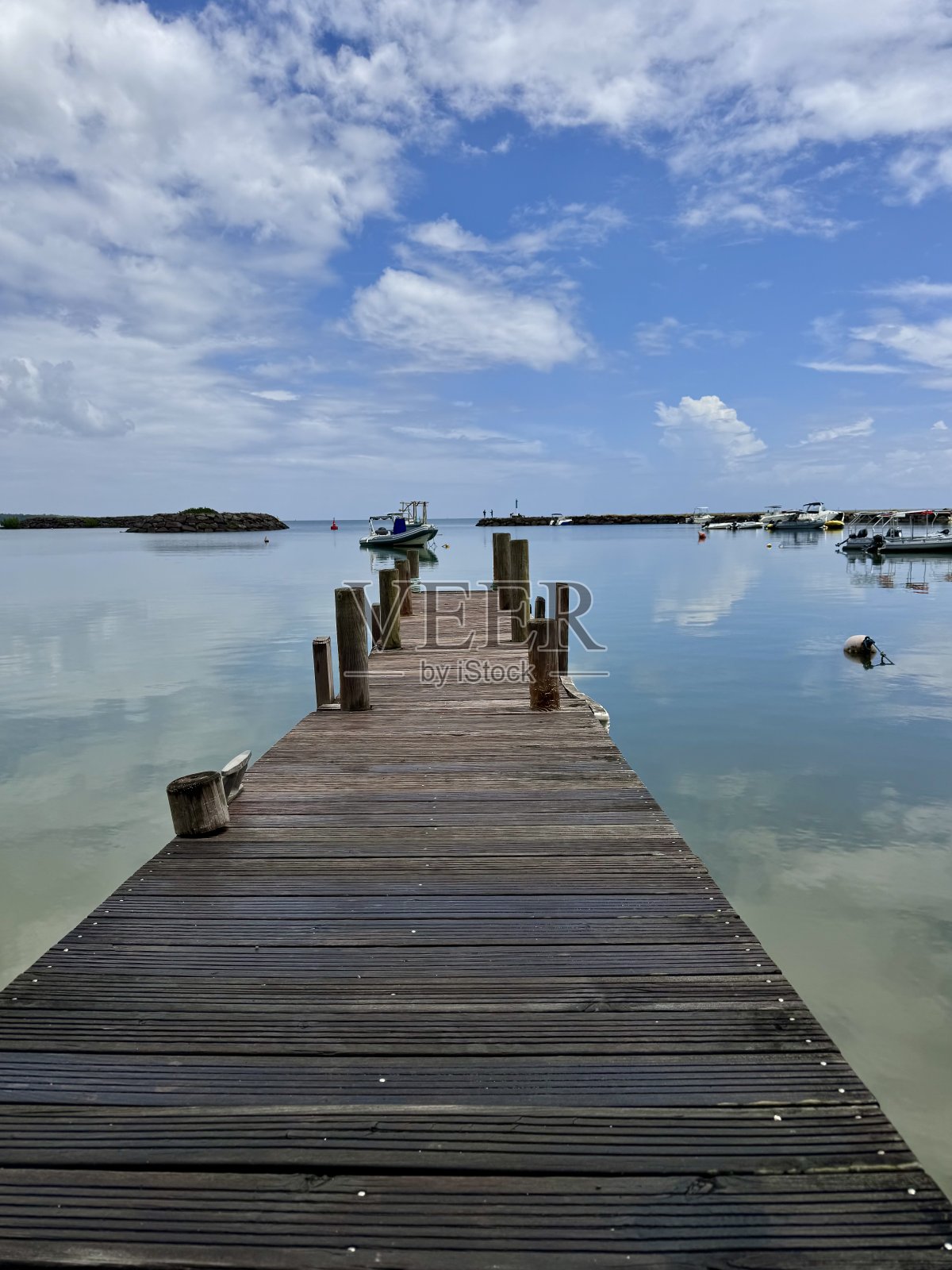 木墩照片摄影图片