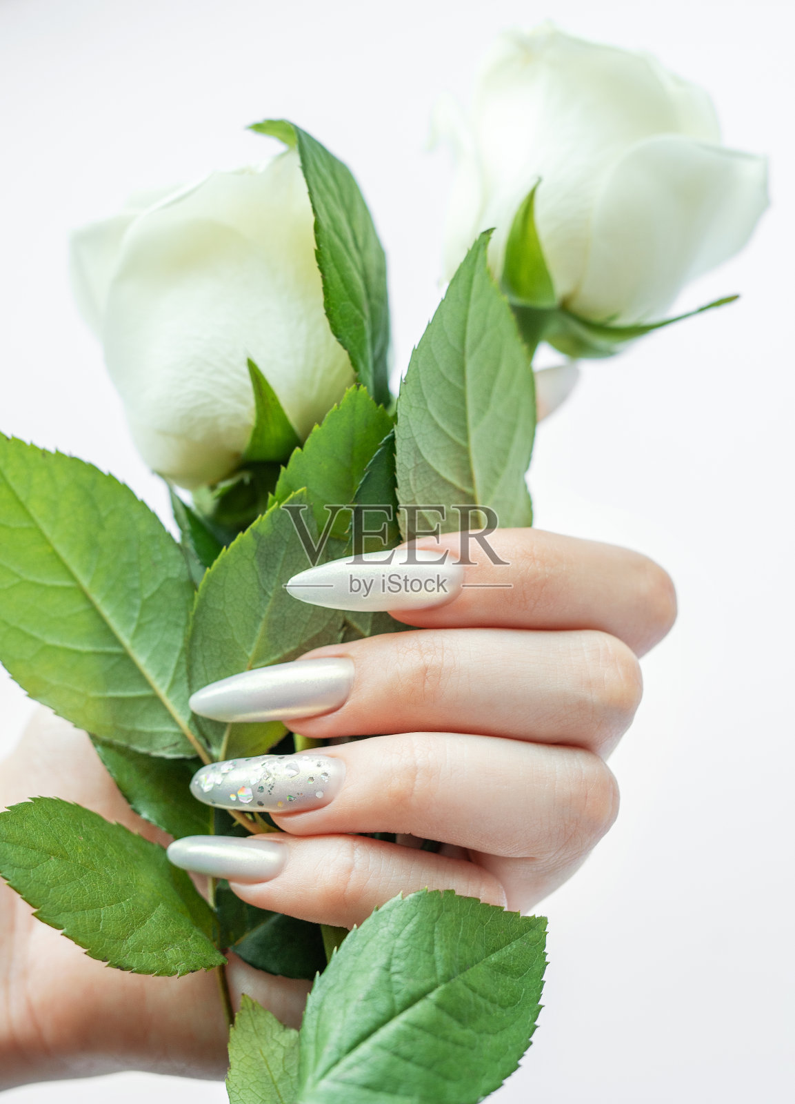 女性双手在白色背景与美丽的珍珠指甲和白玫瑰照片摄影图片