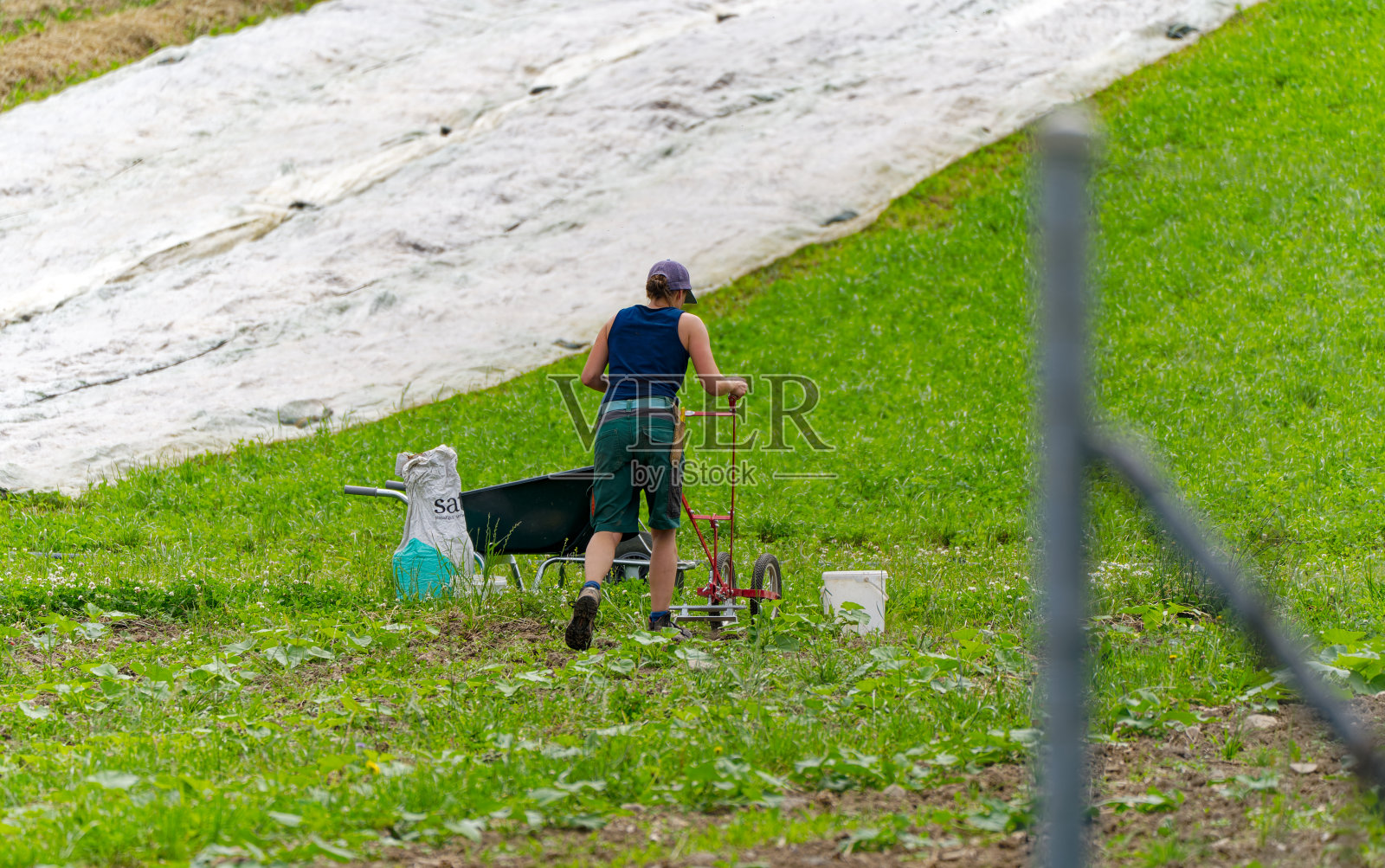 在瑞士小镇，农场工人推着红色金属双轮锄头走在农田上。照片摄影图片