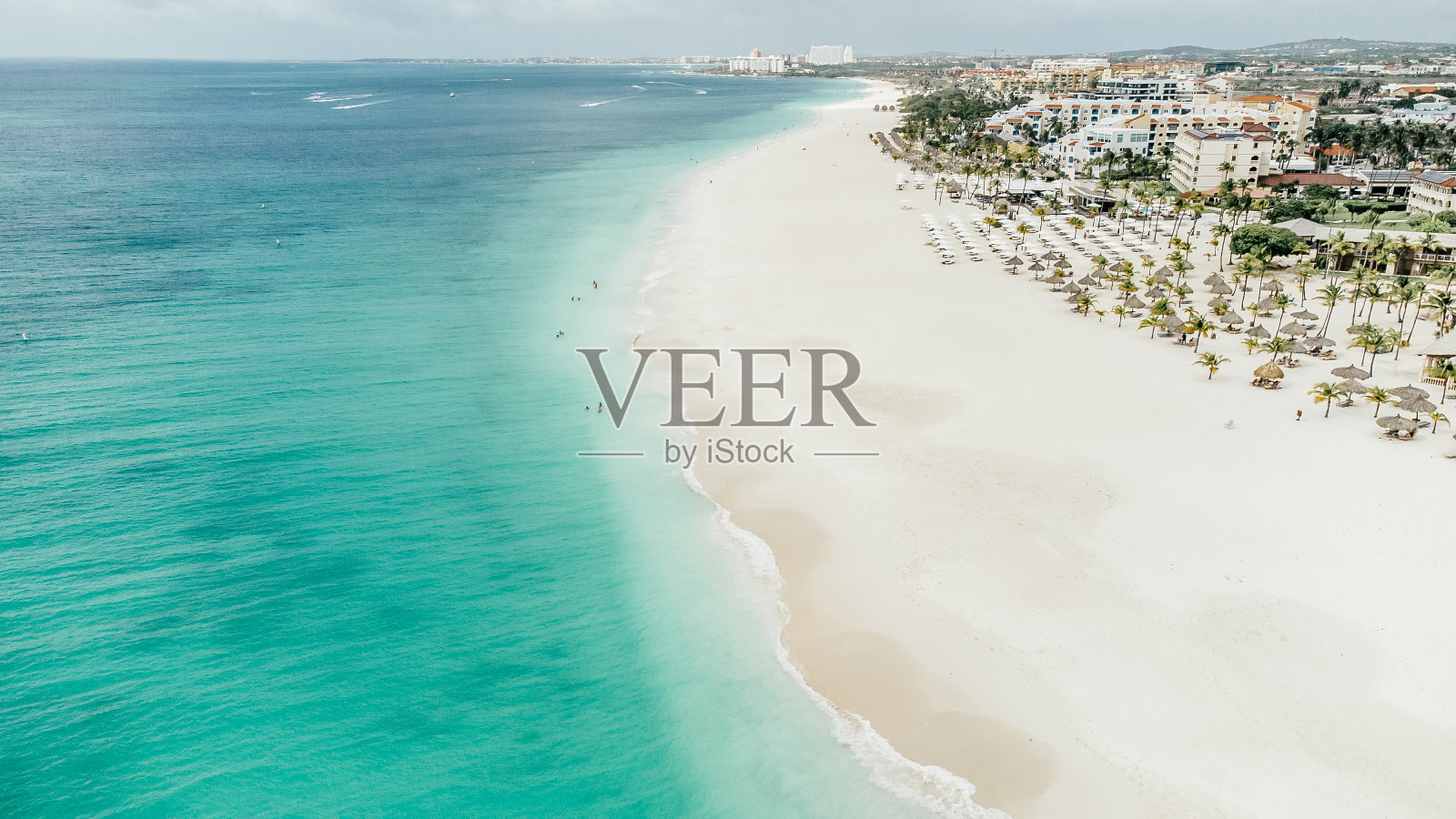 阿鲁巴海滨鹰滩照片摄影图片