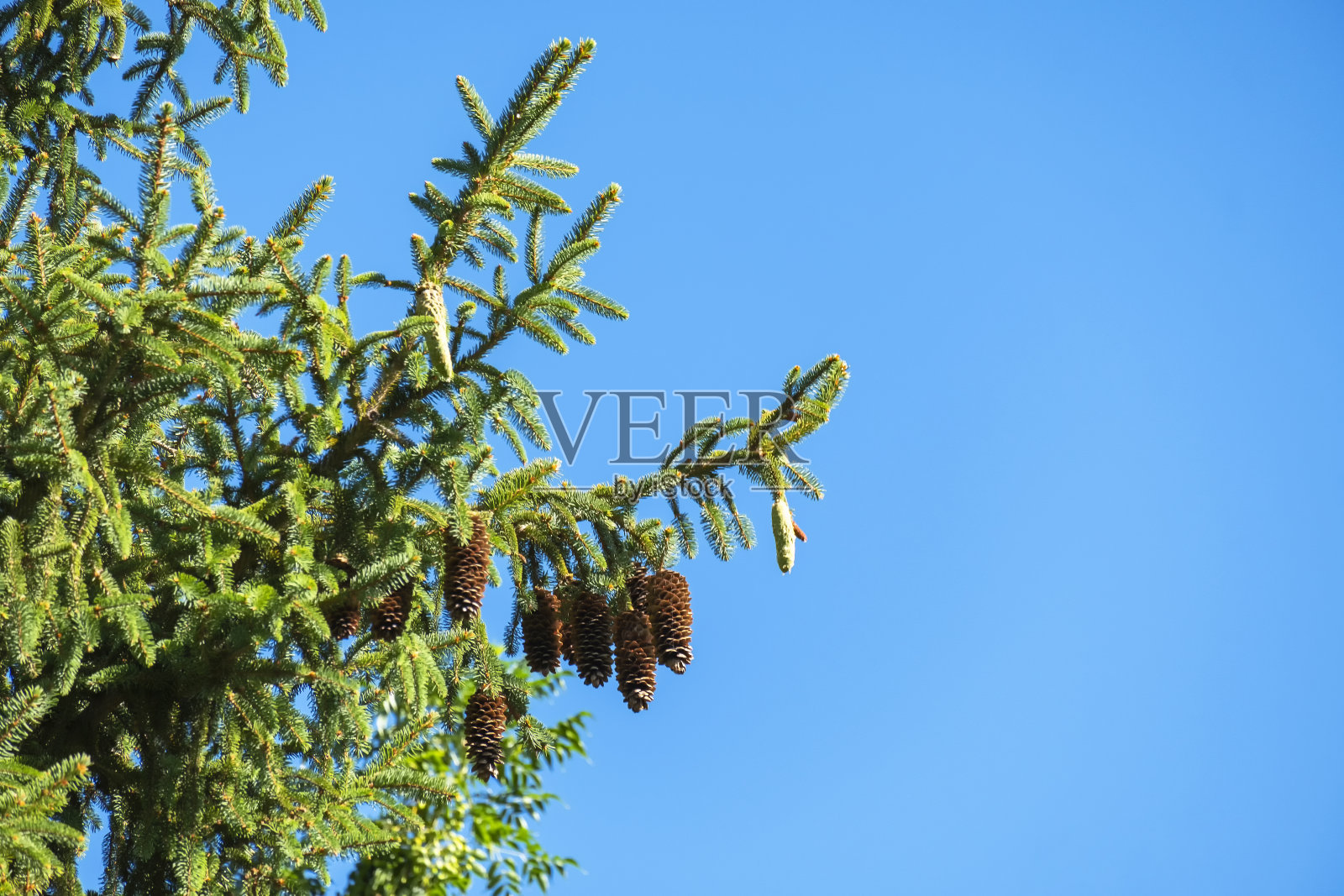 公路上的监控摄像头。视频监控和照明系统。为了市民的安全，街道上安装了安全摄像头。照片摄影图片