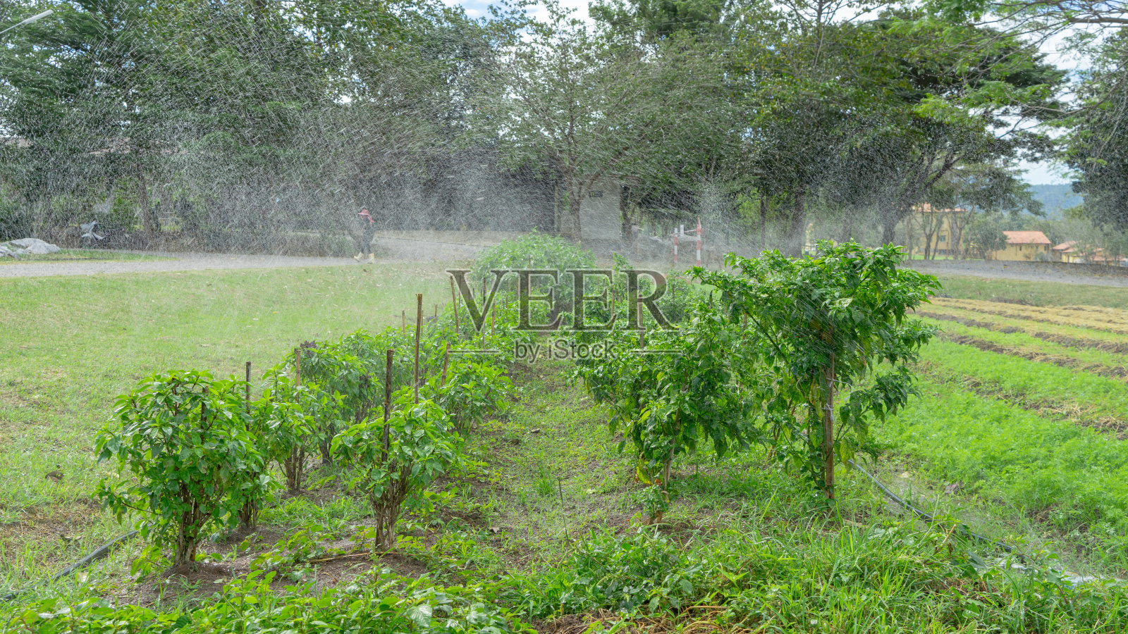 630照片摄影图片