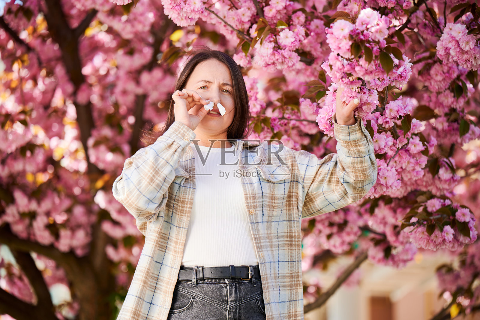 一名妇女在鼻子里塞了纸巾，在春天患上了季节性过敏。照片摄影图片