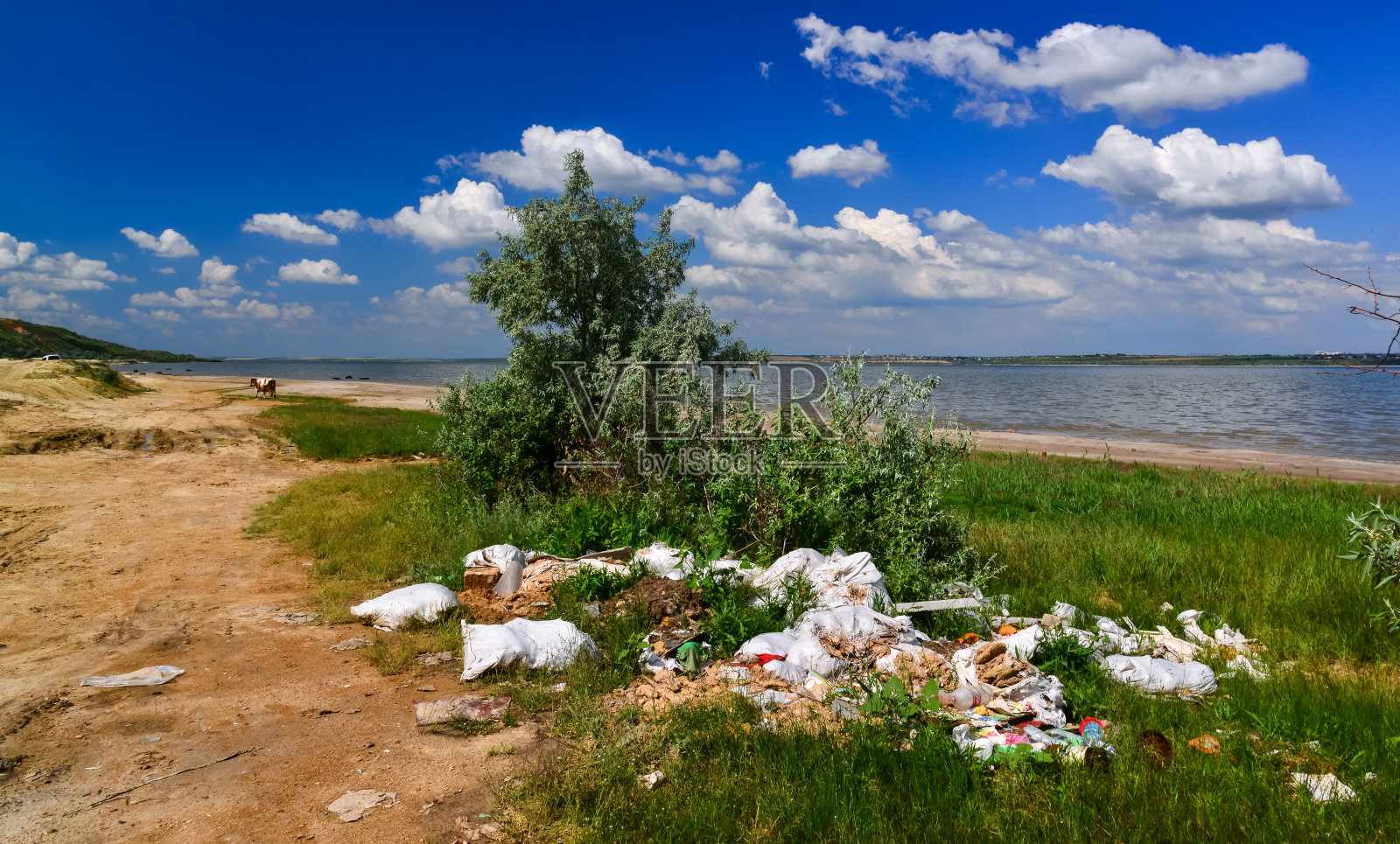 污染自然，一堆塑料垃圾在水库岸边，生态灾难，乌克兰。照片摄影图片