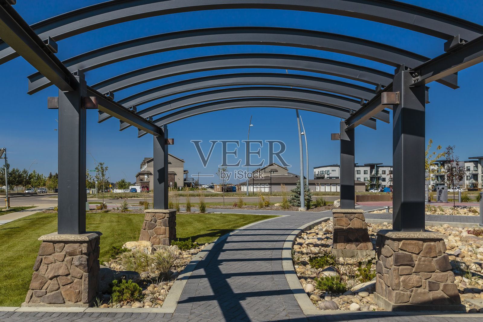 常绿广场照片摄影图片