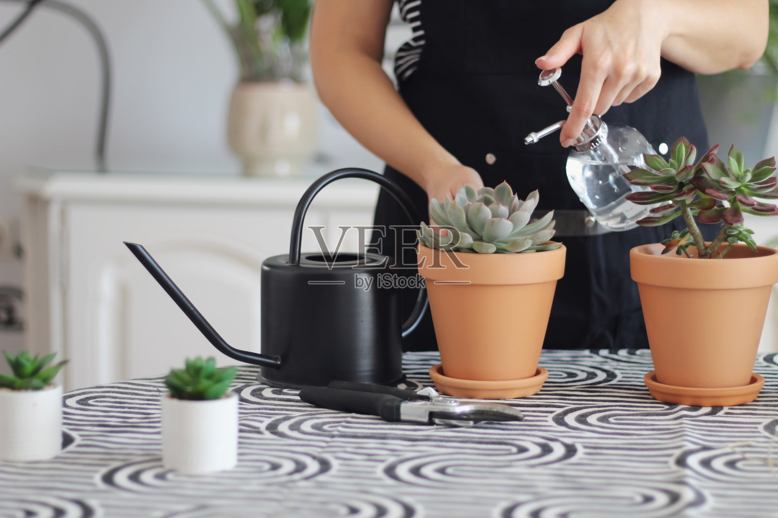 不认识的女人水喷莲子多汁照片摄影图片
