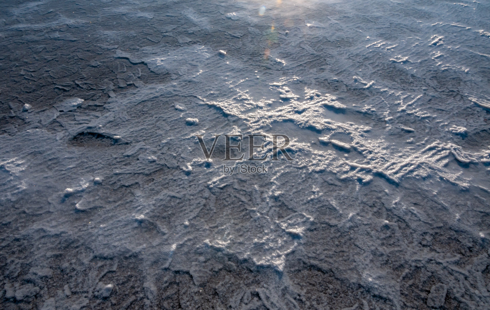 乌克兰敖德萨地区库亚尔尼克河口底部干燥植物表面的自沉淀食盐氯化钠照片摄影图片