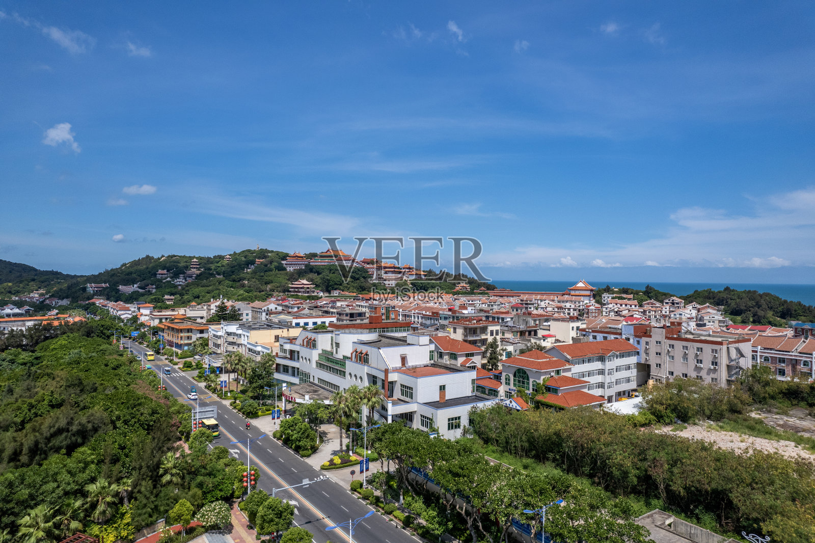 鸟瞰岛上的建筑群和绿化照片摄影图片