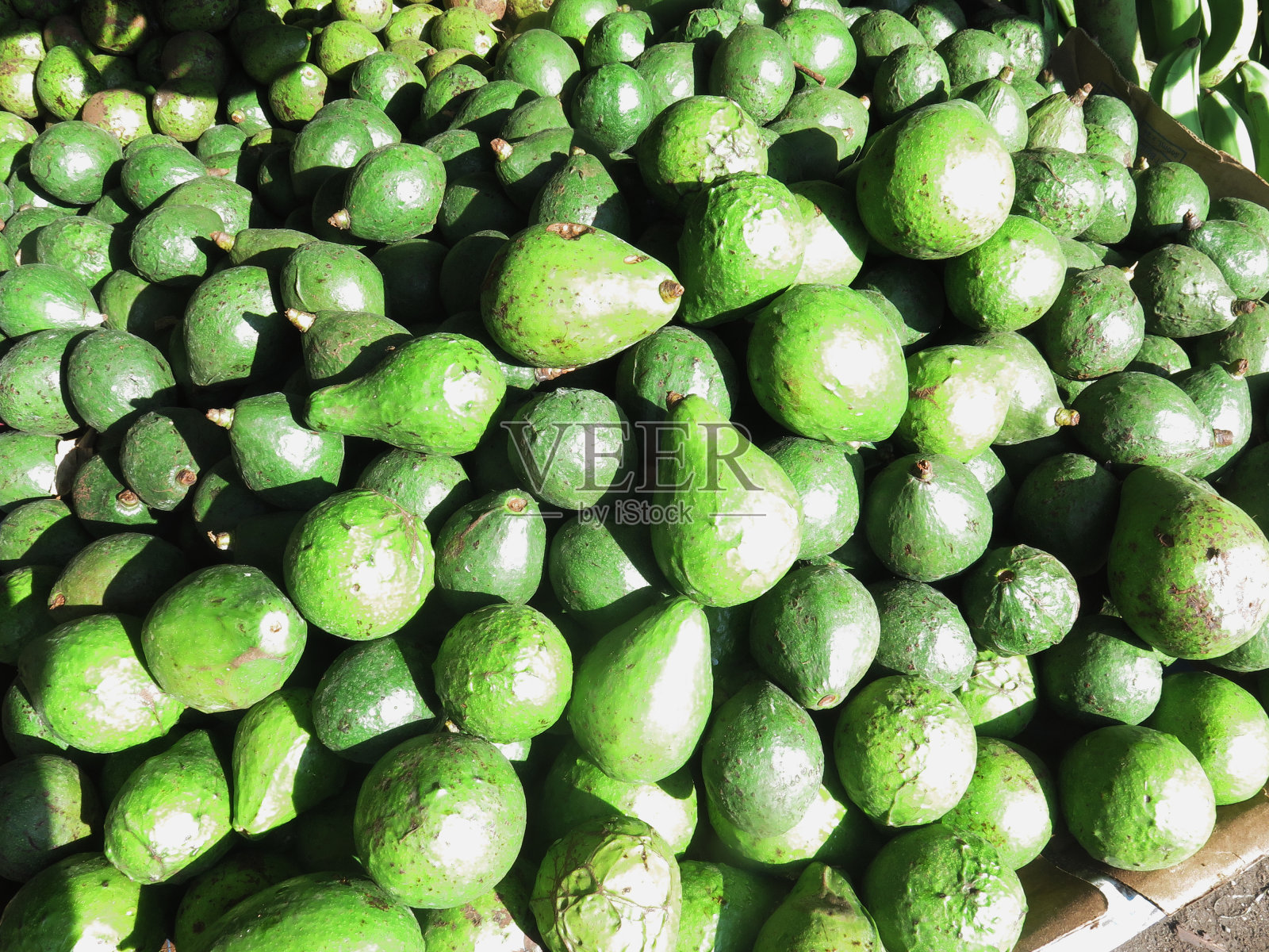 鲜绿色鳄梨照片摄影图片