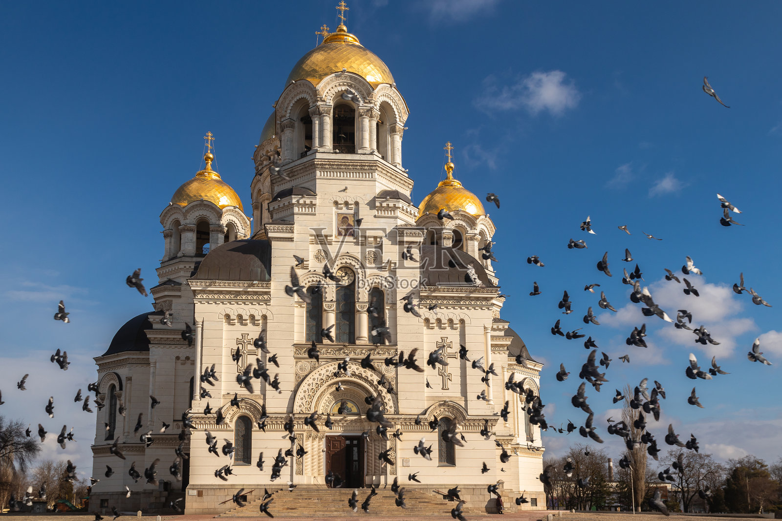 教堂前有一群鸟照片摄影图片