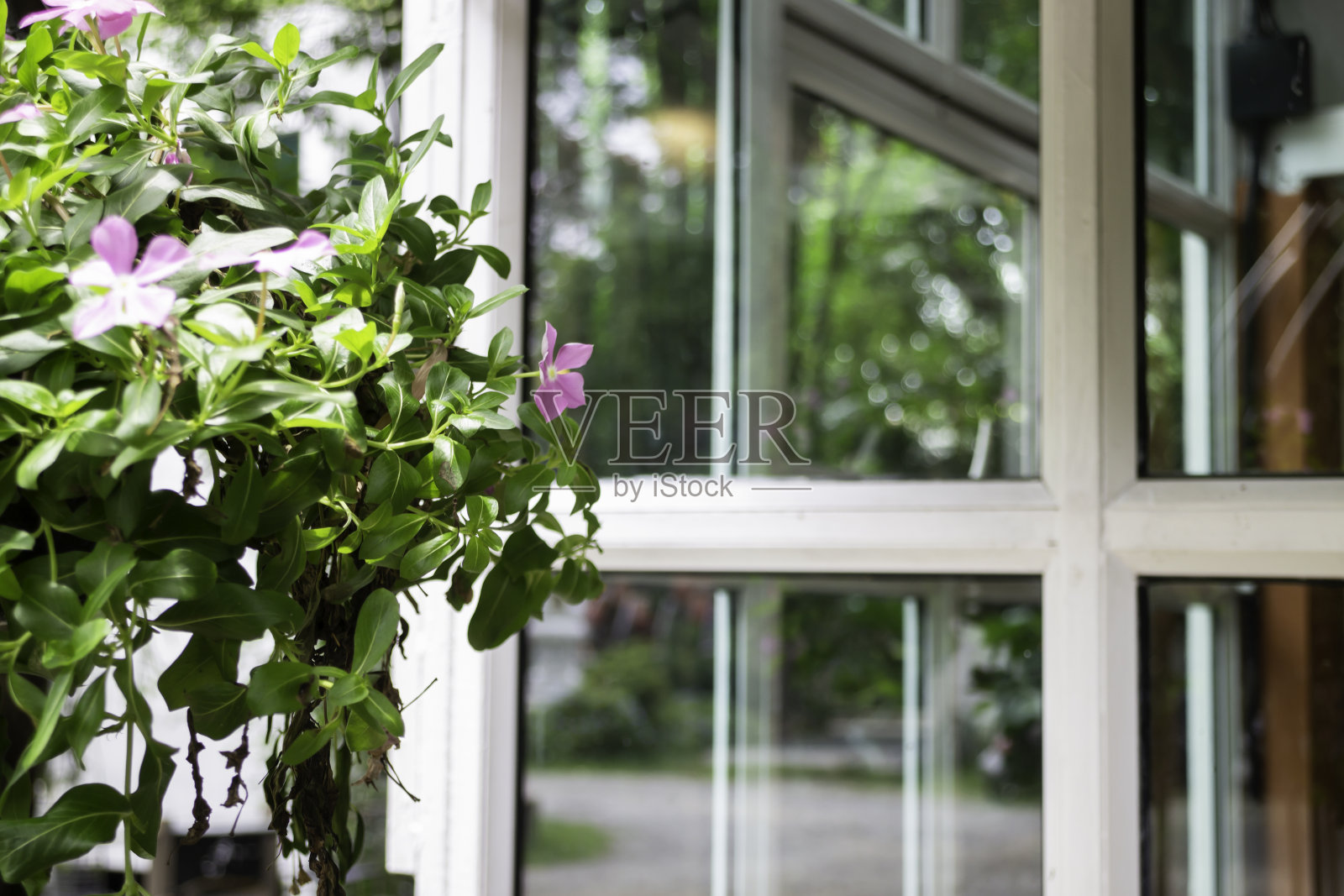 带桌椅的咖啡厅露台照片摄影图片