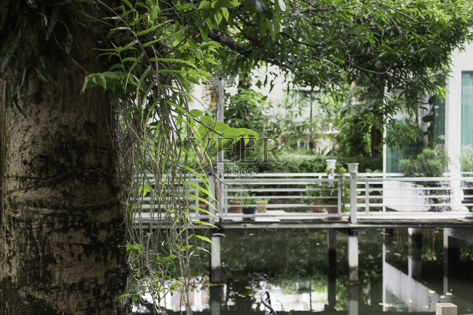 带桌椅的咖啡厅露台照片摄影图片