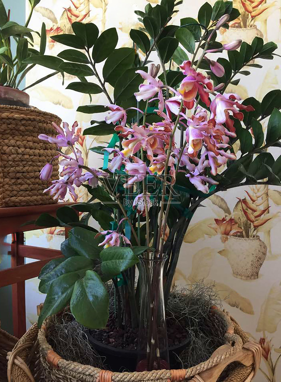 姜黄织物背景照片摄影图片