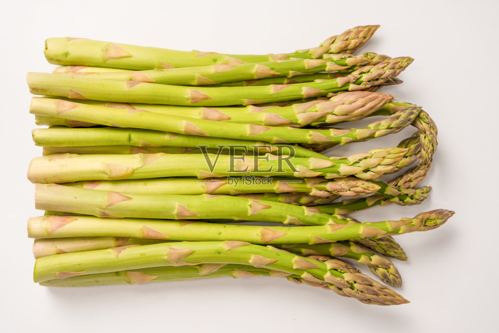 芦笋被隔离在白色的背景上。照片摄影图片