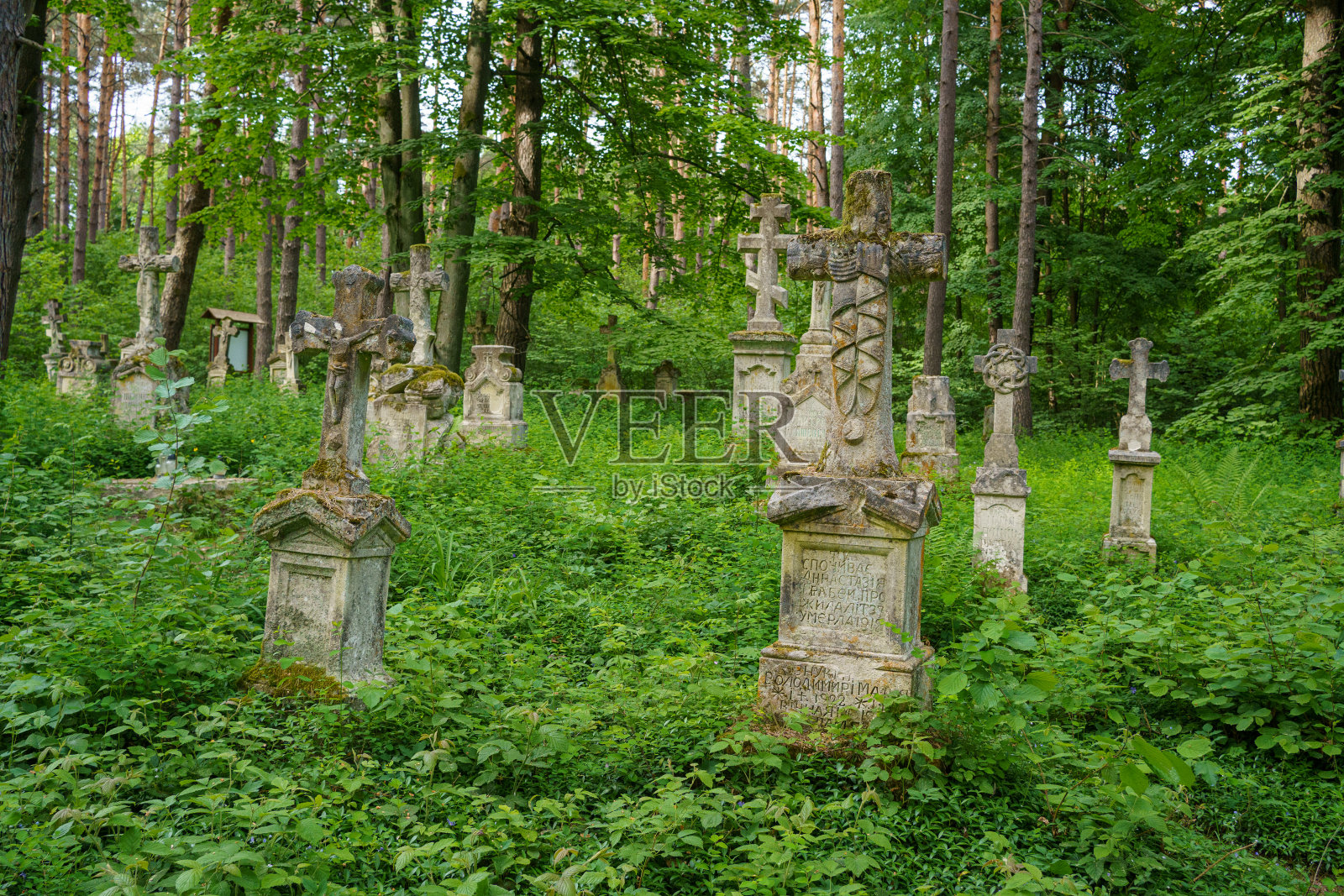 以当地石匠制作的墓碑而闻名的希腊天主教和福音派墓地,Stare Brusno, Subcarpathian,波兰照片摄影图片