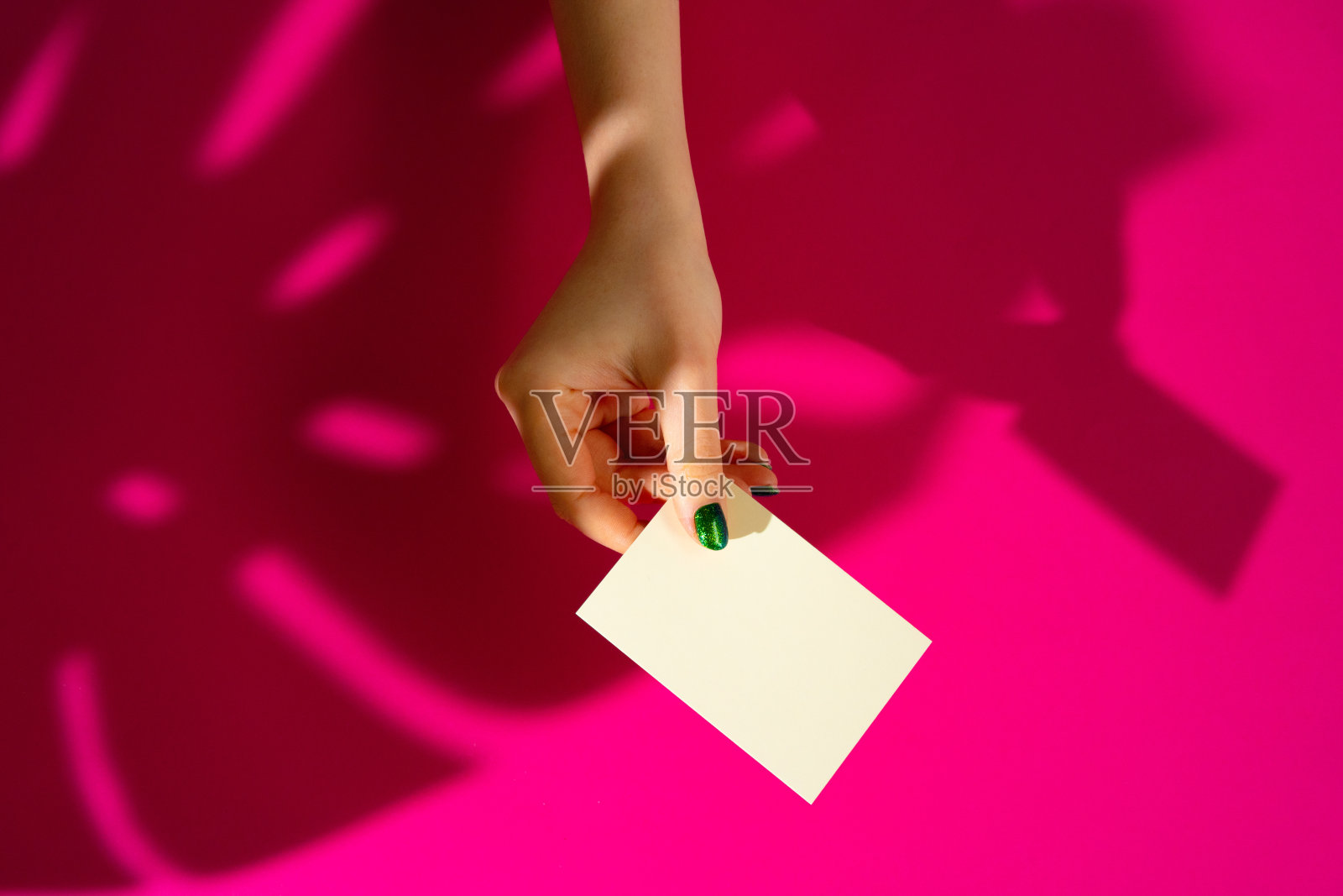 女性手里拿着空白的名片。有影子的创意照片照片摄影图片