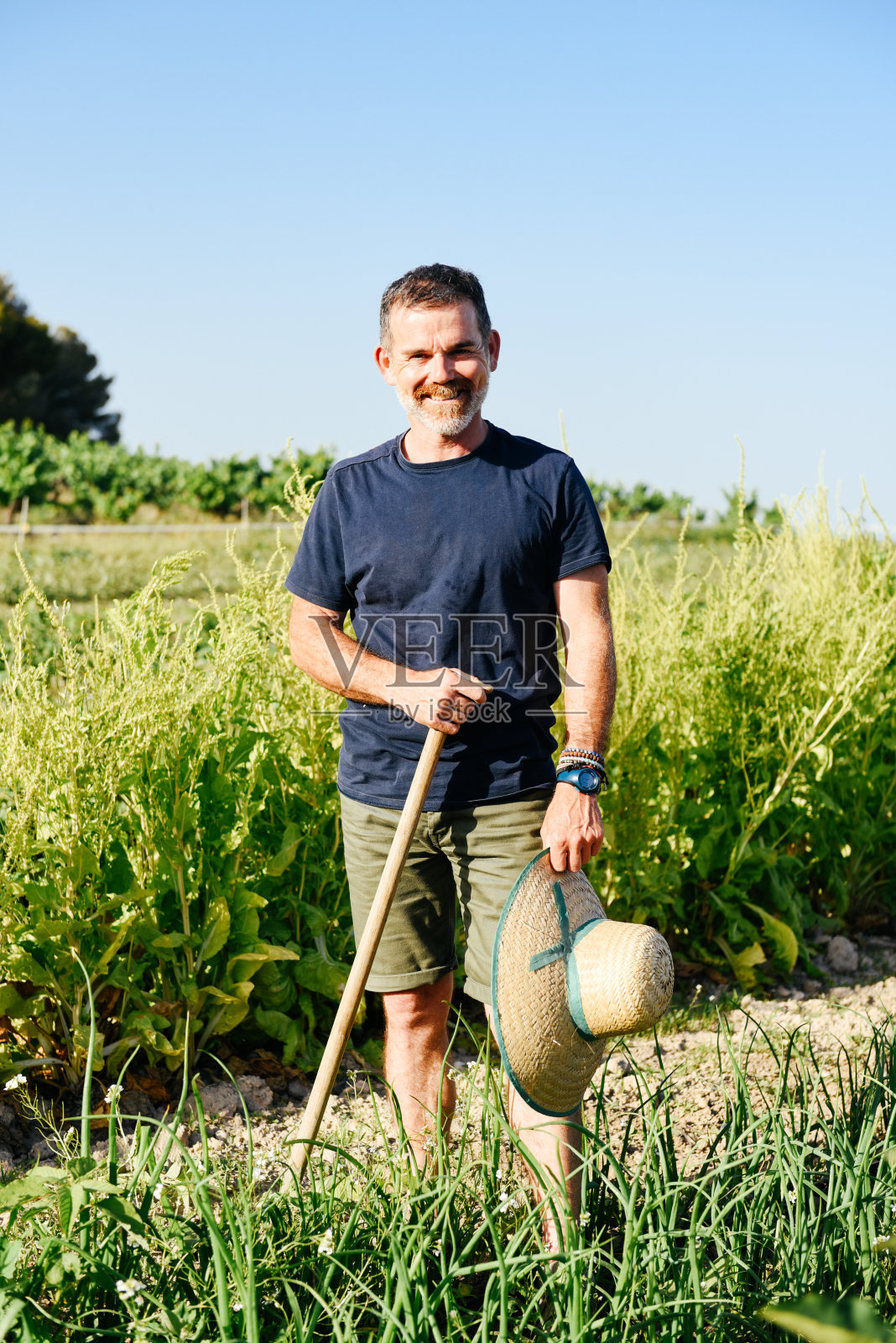 微笑的有机农民拿着帽子和耙子在他的田地里照片摄影图片