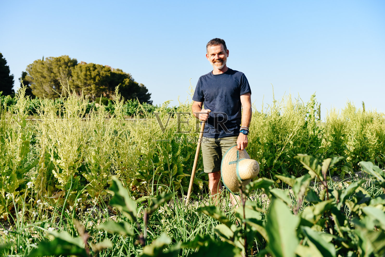 快乐的农夫站在田里，拿着耙子和帽子照片摄影图片