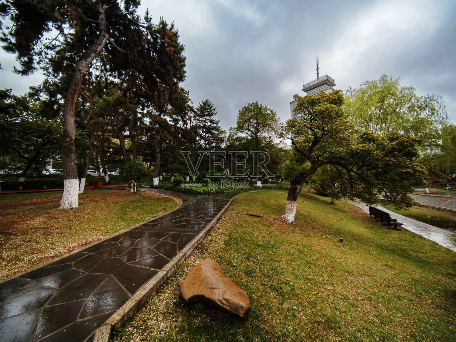美丽的雨中的城市，中国长春照片摄影图片