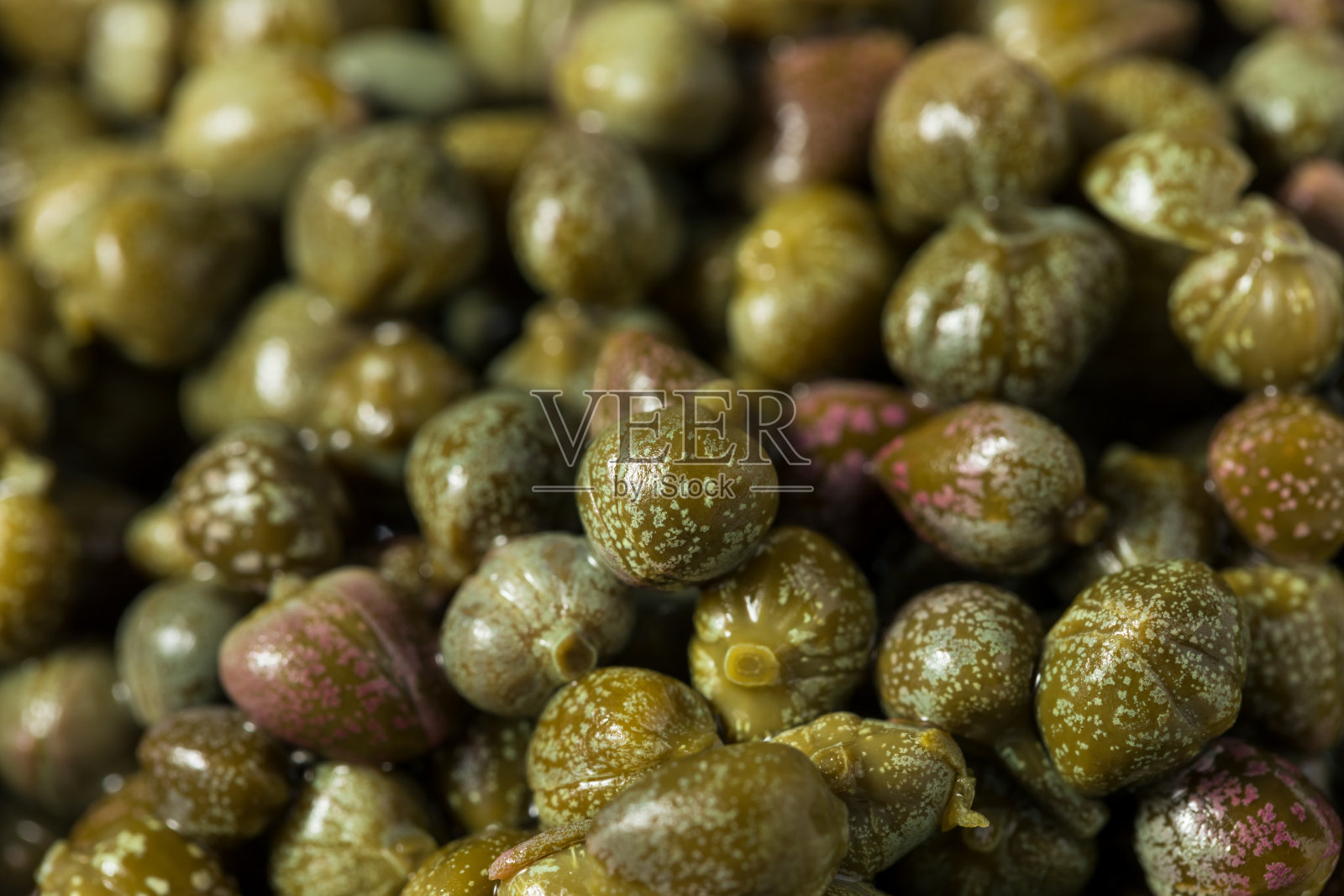 有机腌青刺山柑照片摄影图片