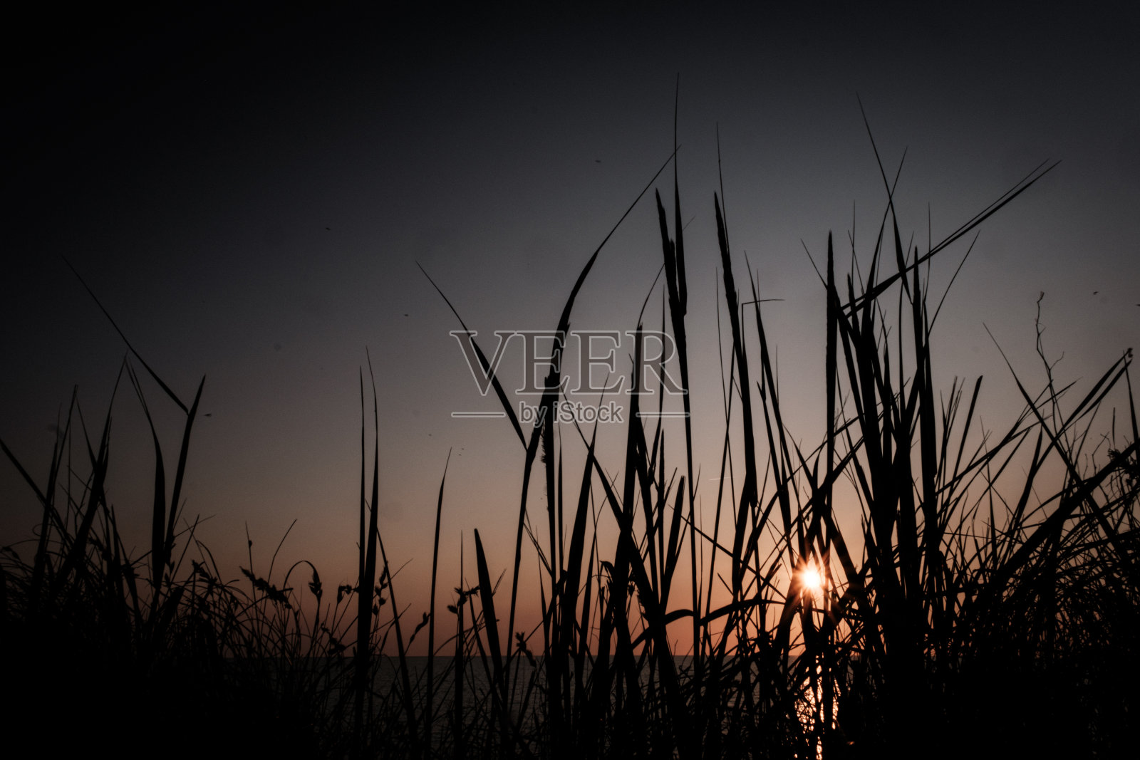 波罗的海的日落照片摄影图片