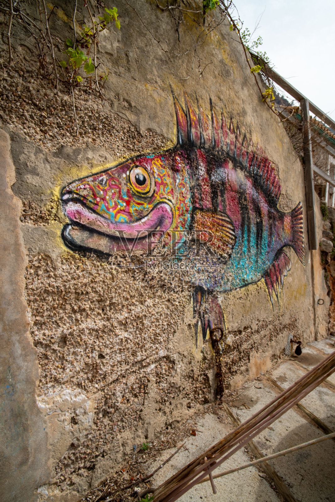 De Valldemossa港的鱼类艺术照片摄影图片