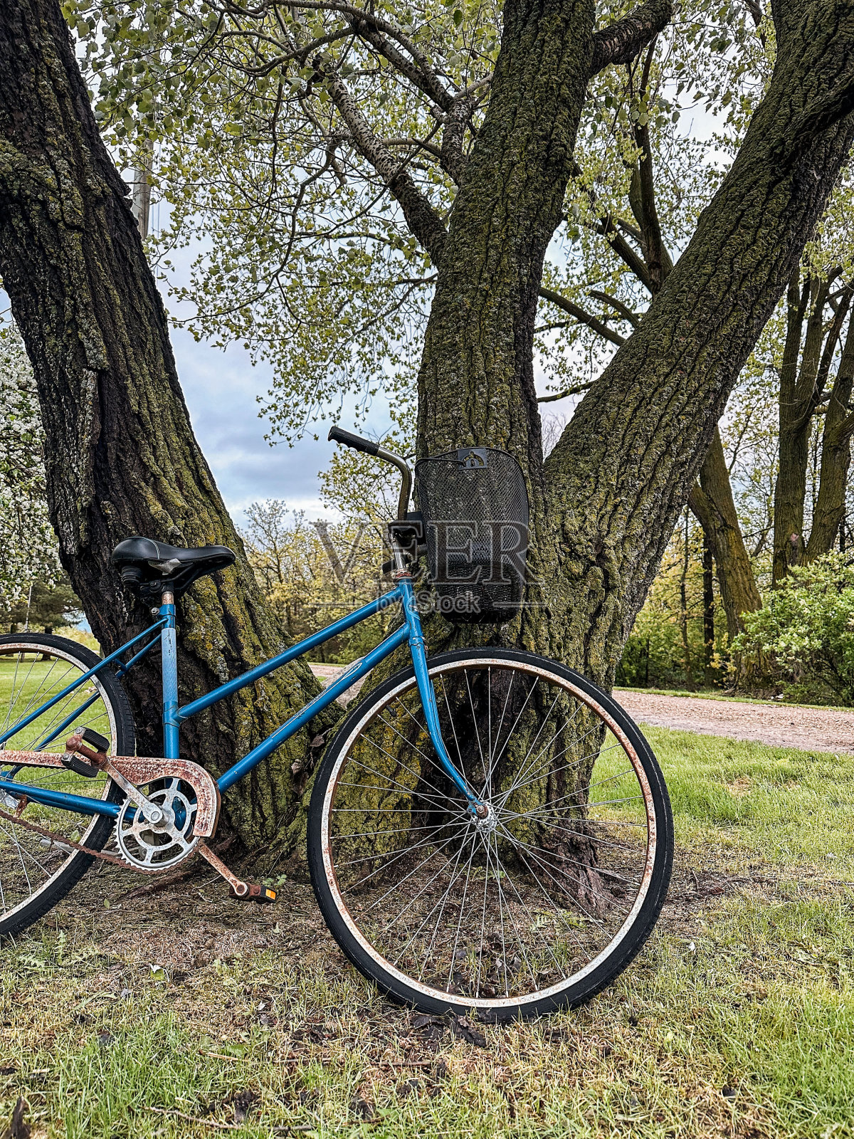 马尼托巴加拿大草原牧场春天五月照片摄影图片