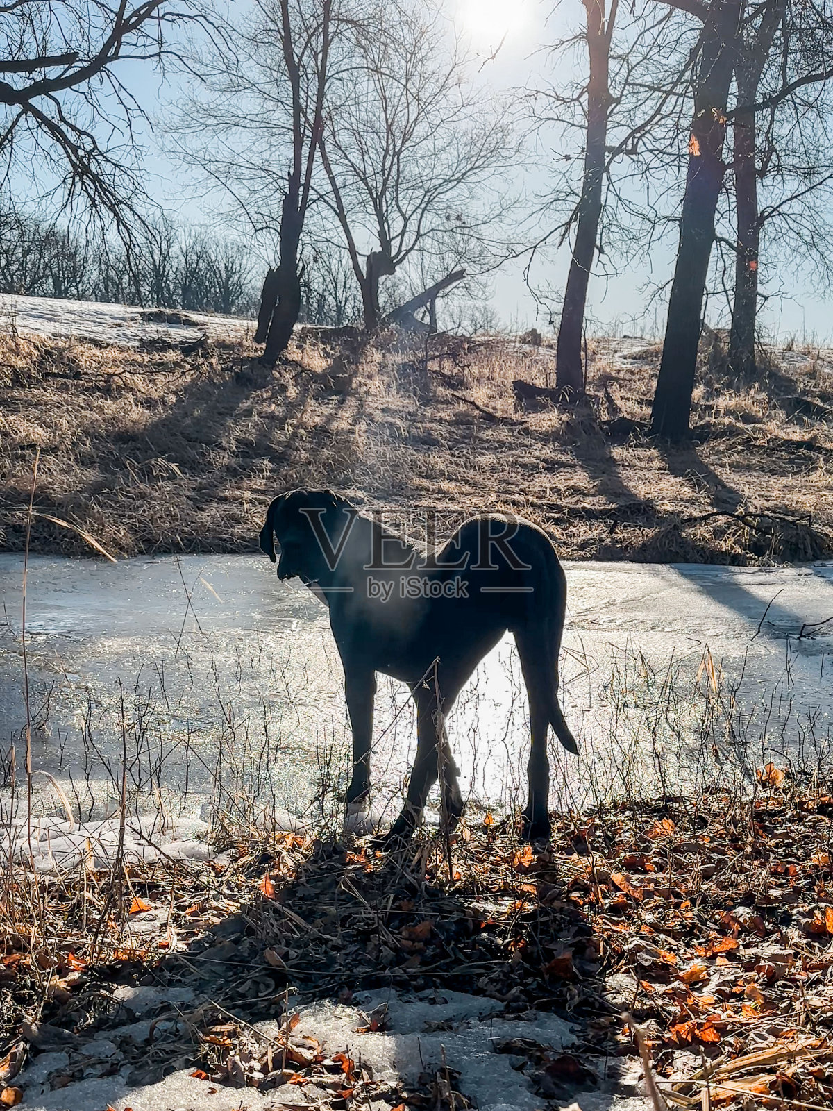 马尼托巴加拿大草原春天四月照片摄影图片