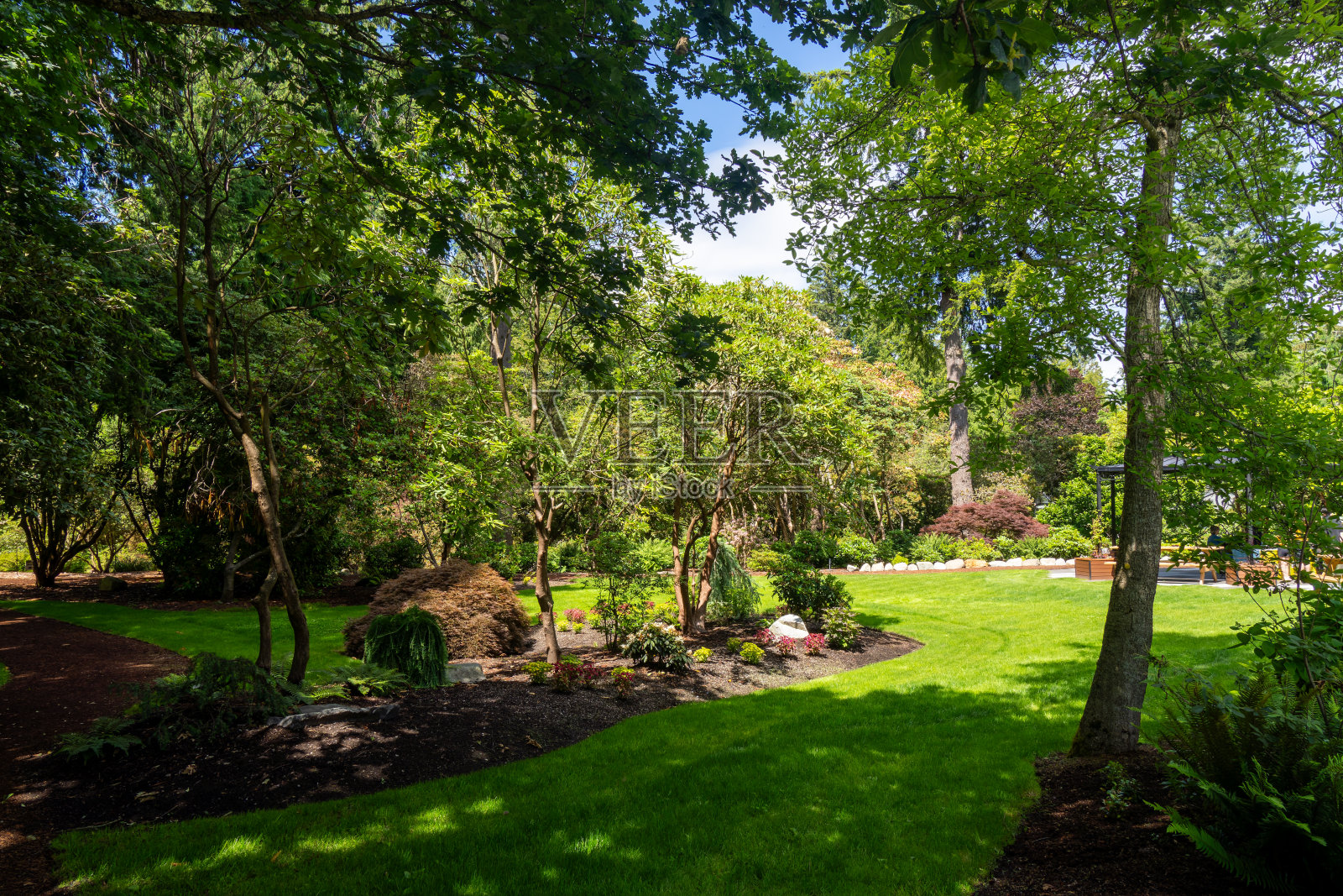 林中花园照片摄影图片