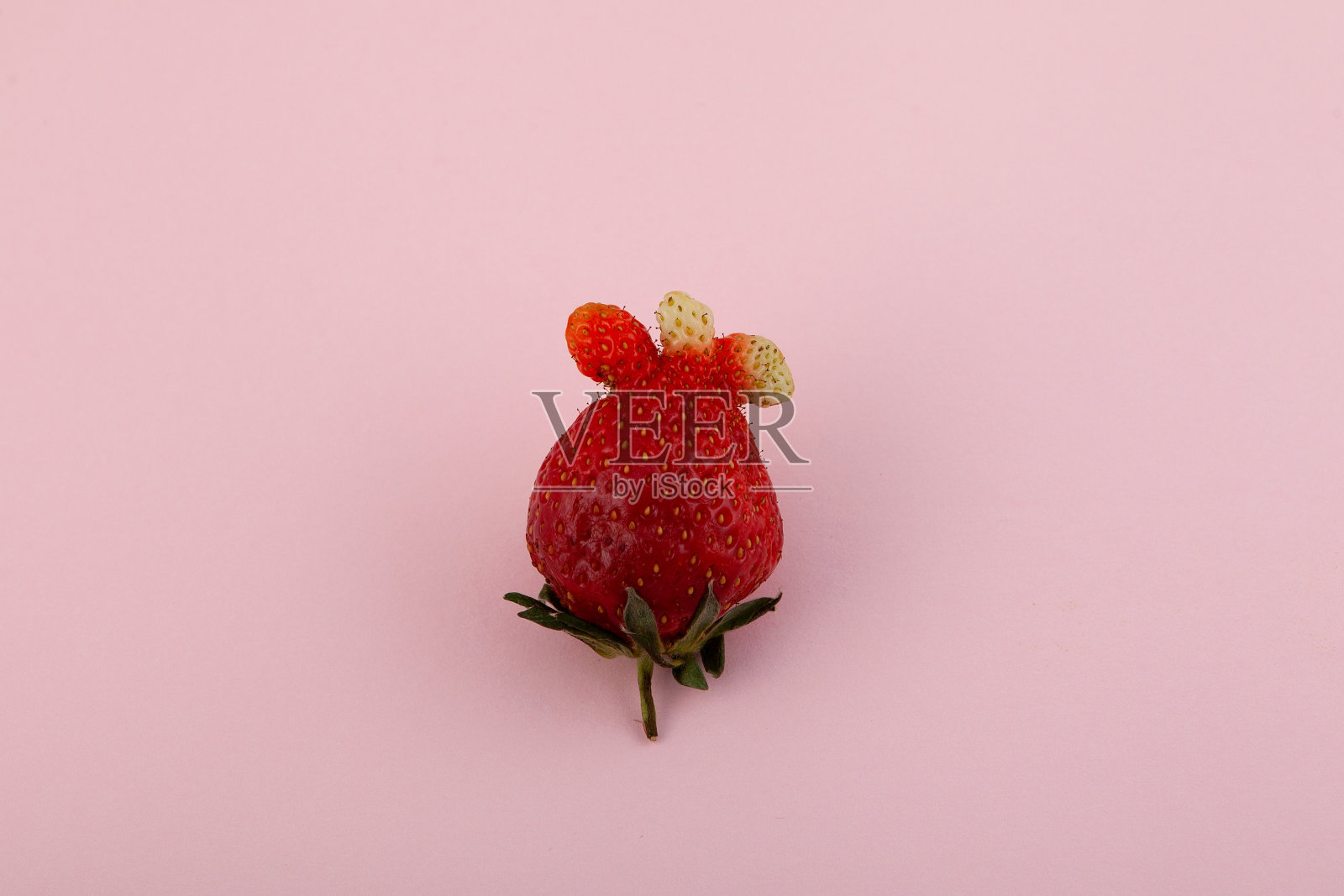 粉红色背景上的草莓形状滑稽。畸形的水果。概念-吃难看的水果和浆果。减少有机废物照片摄影图片
