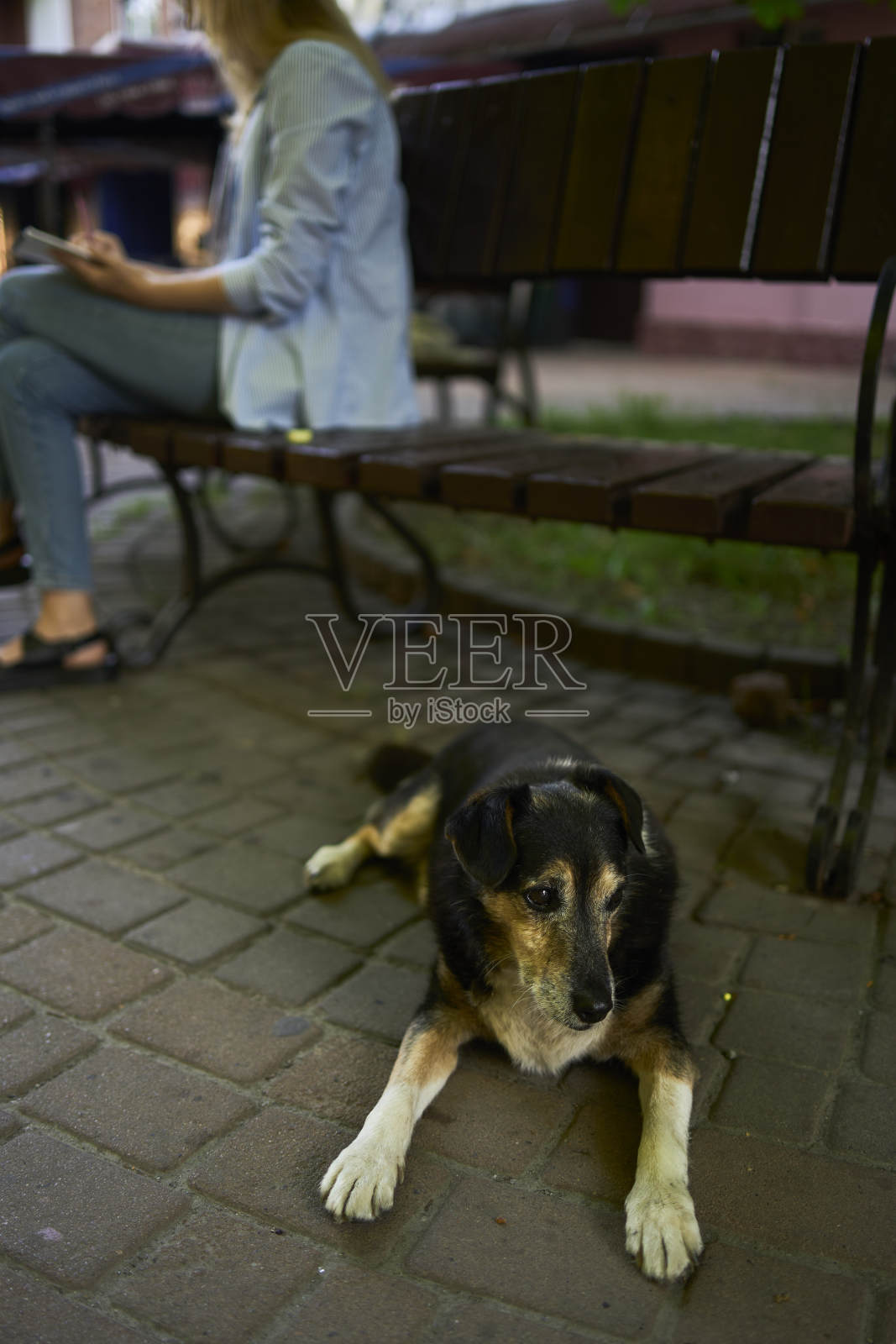 一位年轻的艺术家画了一幅城市街道上窗户的素描照片摄影图片