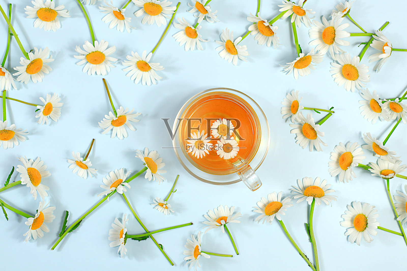 透明杯洋甘菊冰茶，光桌上放天然小洋甘菊，凉茶与适当天然营养的概念，夏日卡片与户外休闲，照片摄影图片