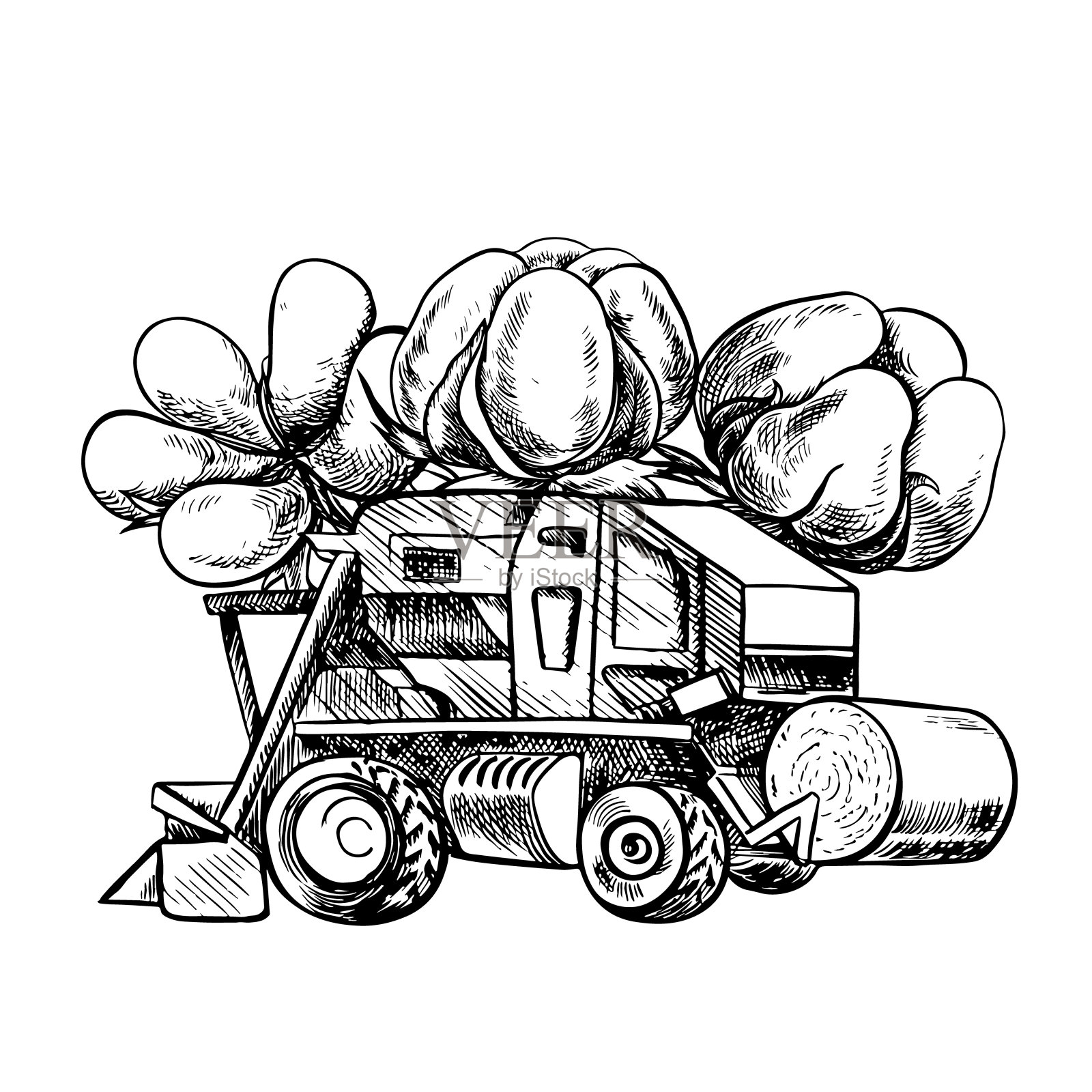 棉花收获机。手工制作的黑白矢量图形插图。一个现代棉花收割机和一个装有棉花植株的盒子的风格组合，用于农业。插画图片素材