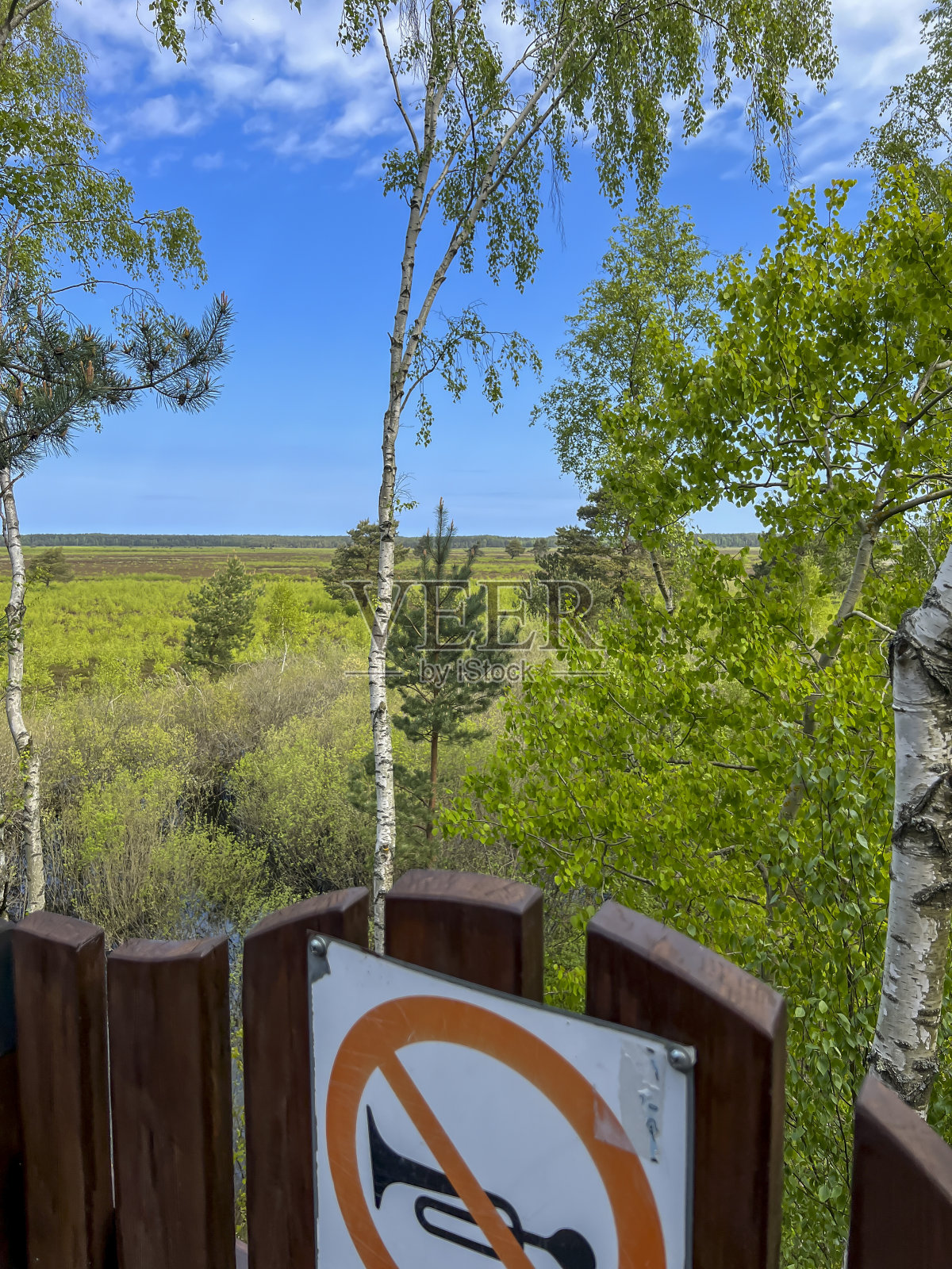 波兰波罗的海沿岸的bielawsky Blota自然保护区。泥滩上覆盖着原始植被，是许多动物和鸟类的栖息地照片摄影图片