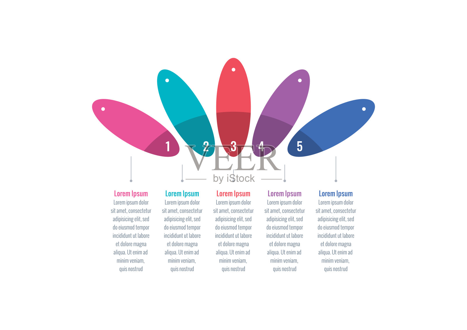 彩色椭圆信息图表模板。五步信息图表模板。教育，网络，互联网，年度报告，杂志信息图表模板插画图片素材