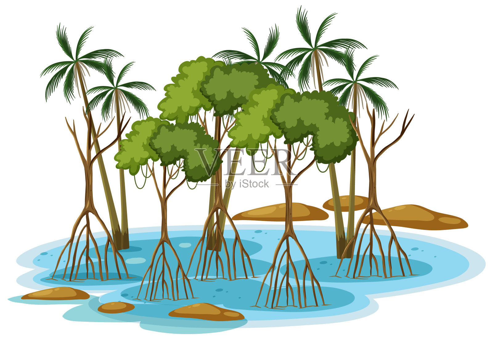 海滨的红树林和棕榈树插画图片素材