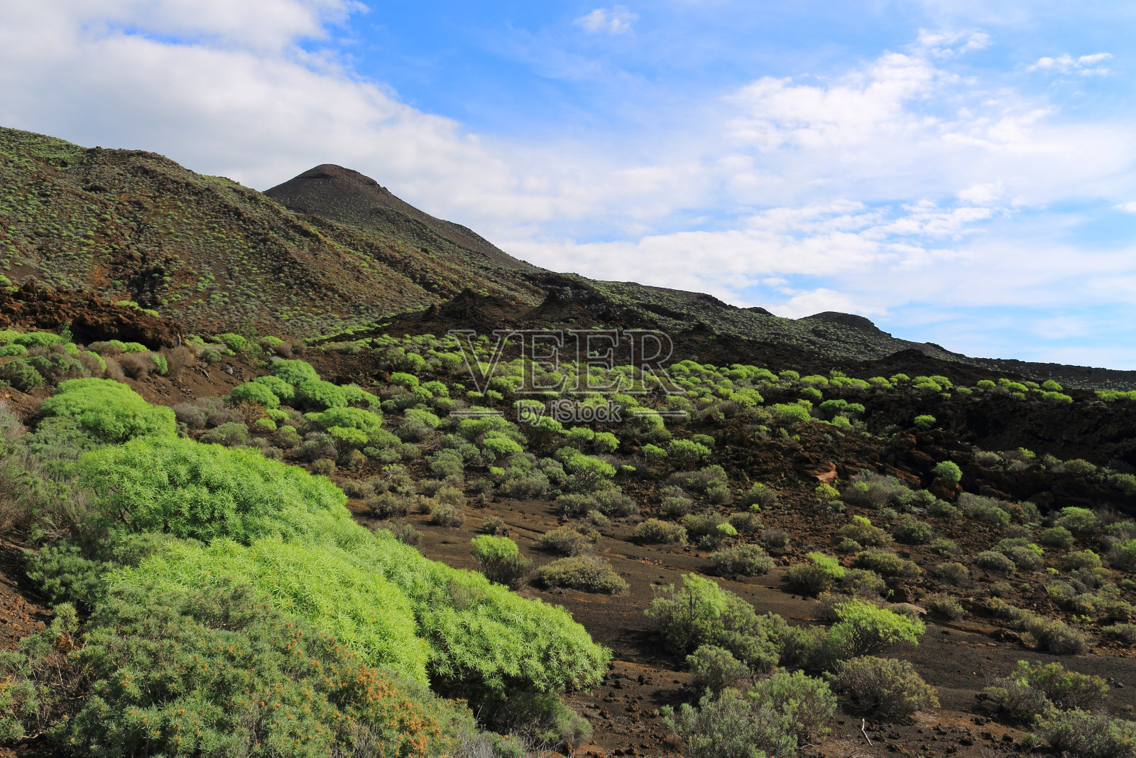加那利群岛耶罗岛的山景和灌木丛照片摄影图片