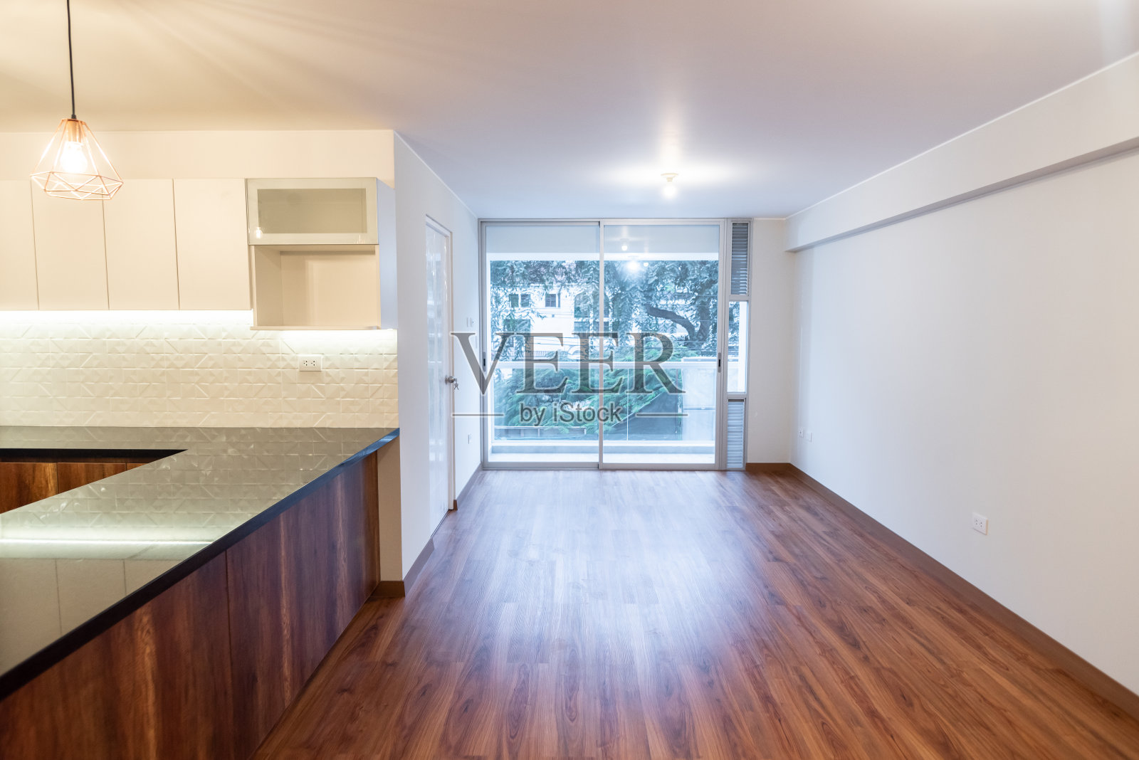 公寓客厅照片摄影图片