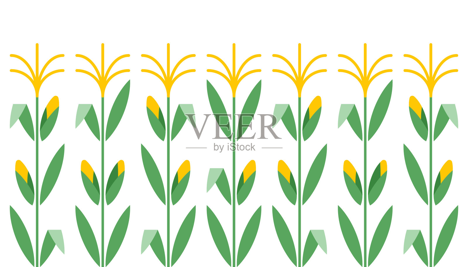 玉米植物，抽象图案。田间玉米植物图解:茎，叶和穗轴。插画图片素材