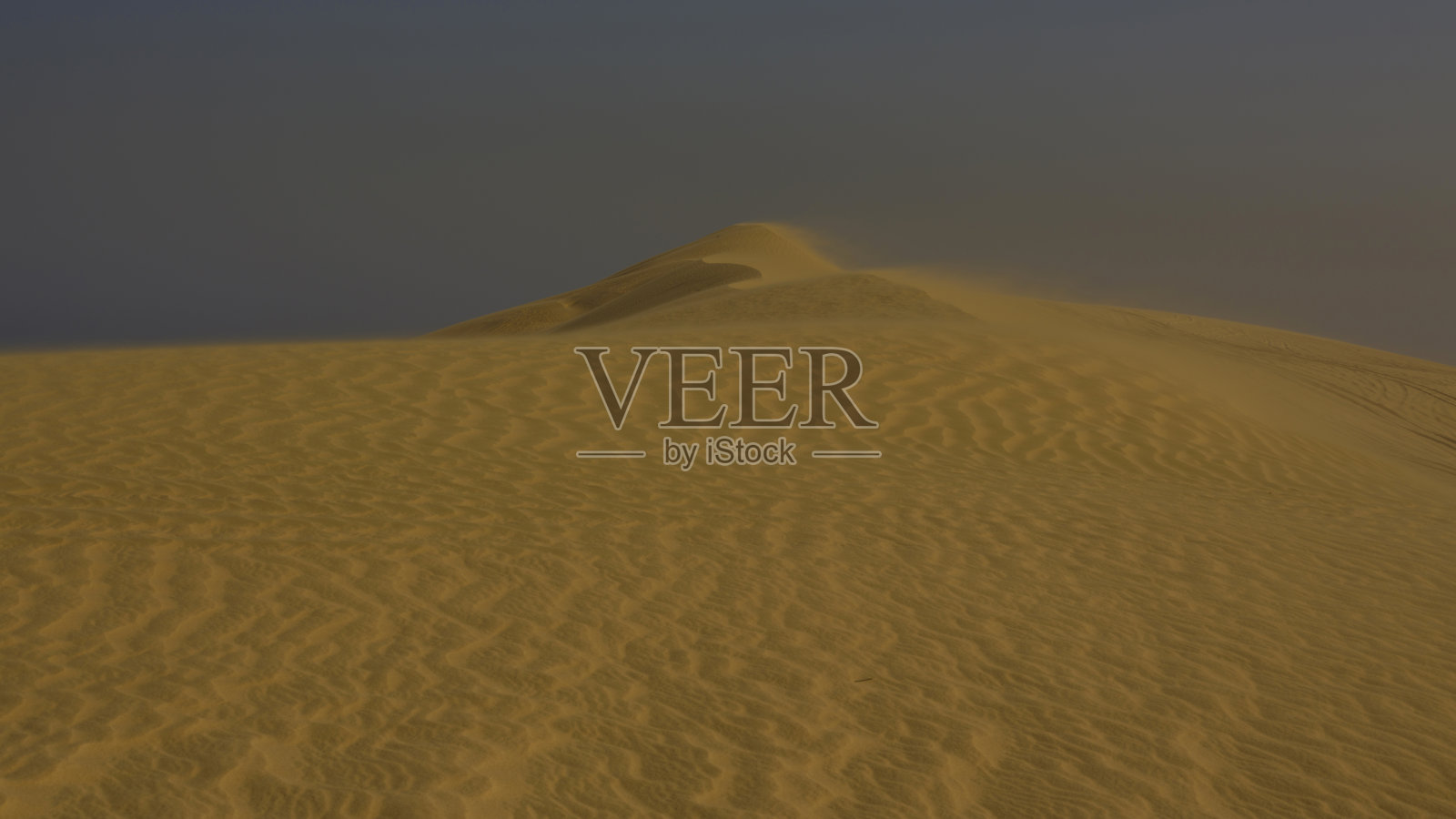 阳光明媚的沙漠景观照片摄影图片