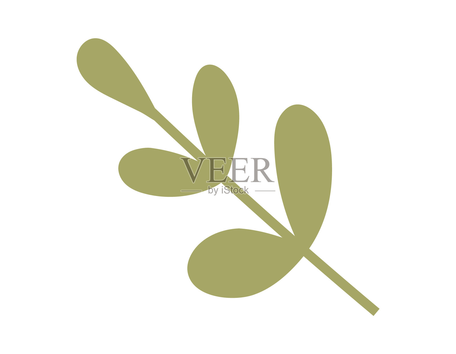 叶子。叶子生长茂盛，在生机勃勃的花园中形成繁茂的叶子插画图片素材