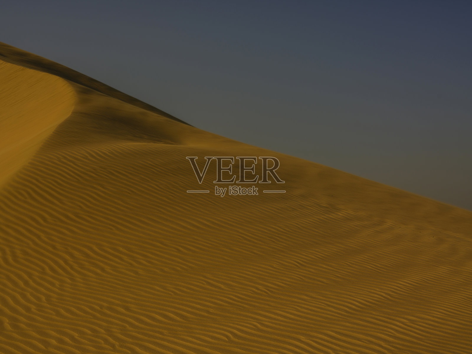 阳光明媚的沙漠景观照片摄影图片